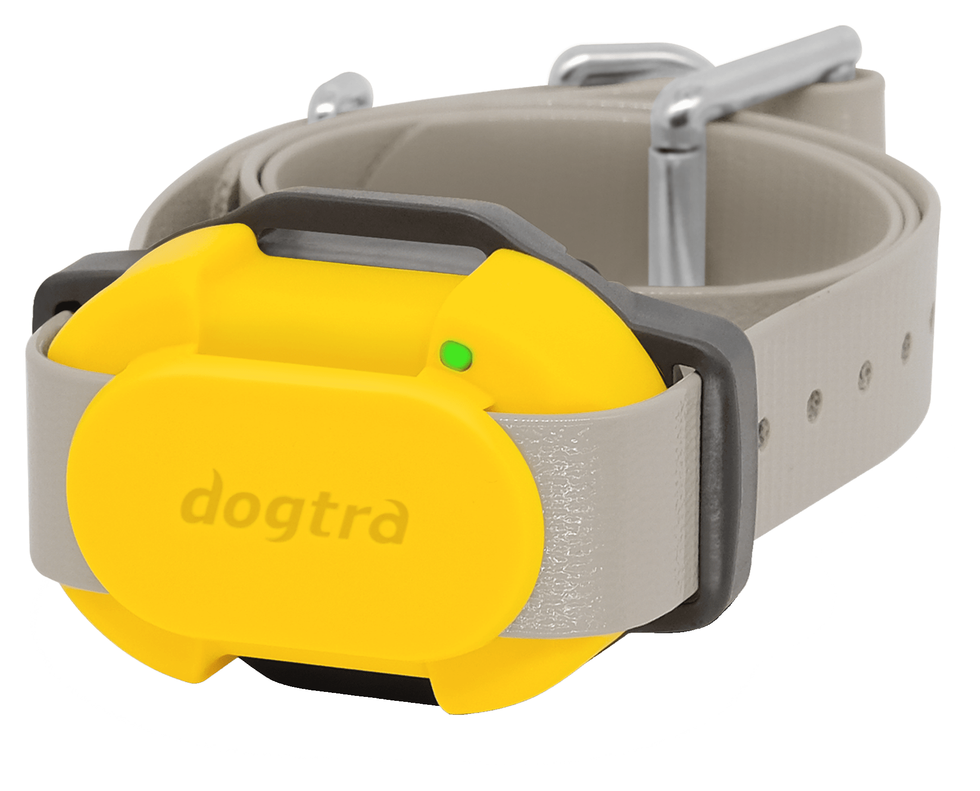 Dogtra Additional CUE E-Collar for Dogs - Yellow - Dogtra