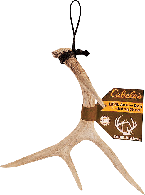 Cabela's Real Rack Dog-Training Shed - Cabela's