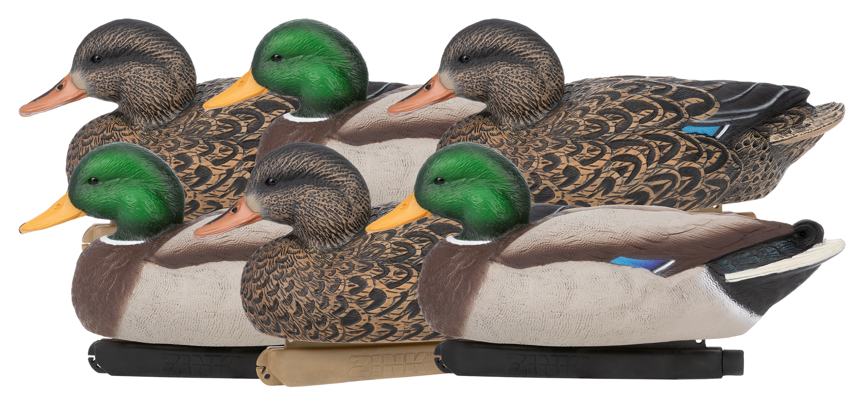 Zink Calls Hunter Series Mallard Floater Duck Decoys - Zink Calls