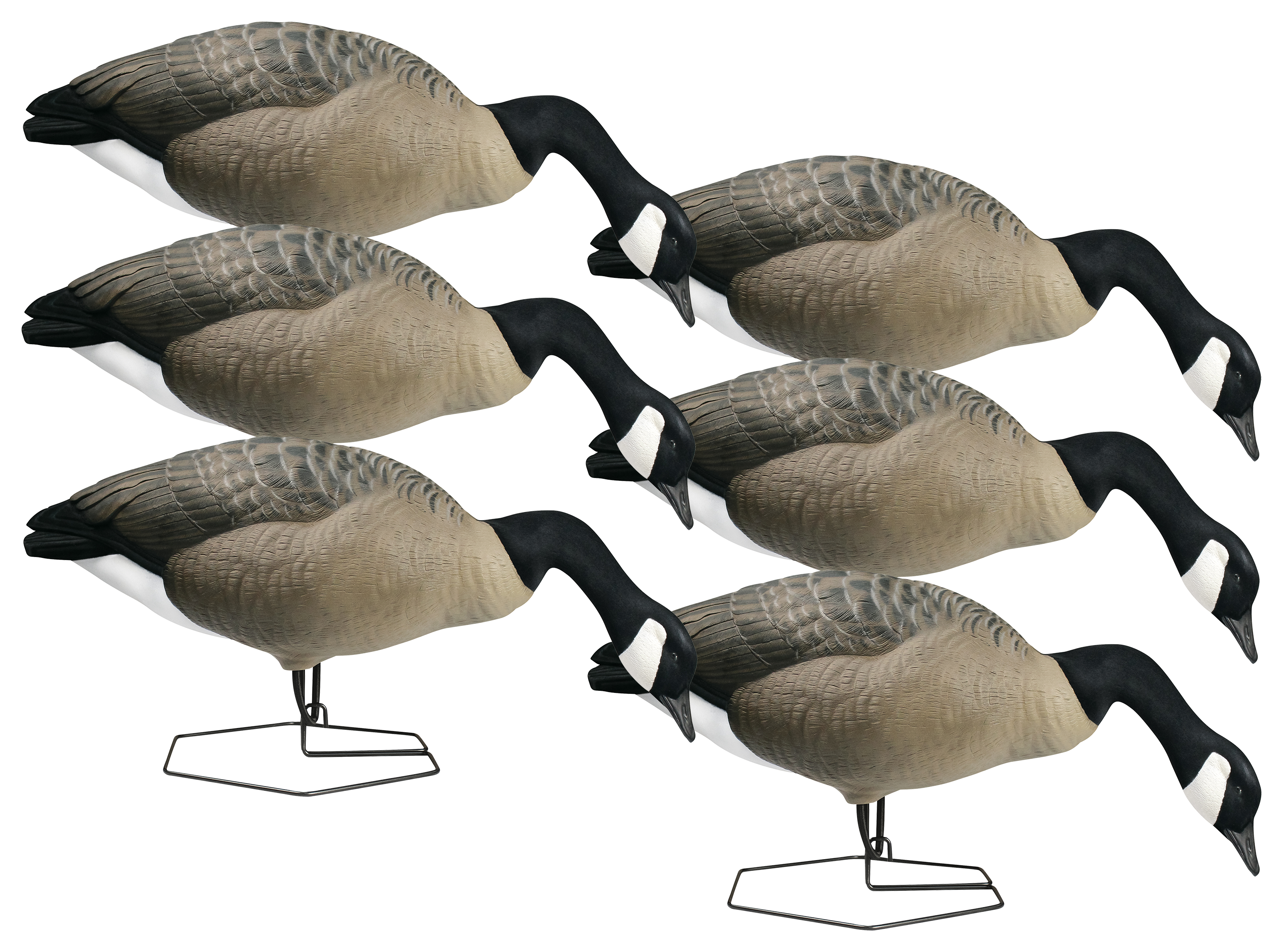 DOA Decoys Rogue Series Canada Goose Decoy Feeder Pack