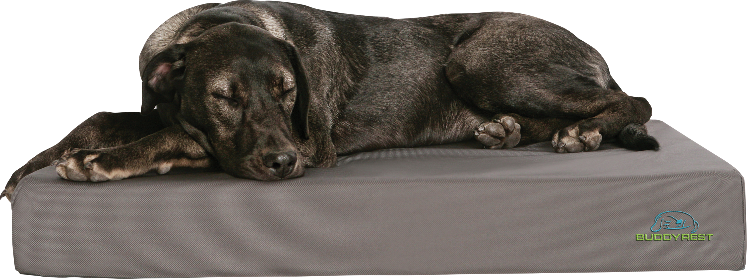 BuddyRest Tough Buddy Dog Bed - L