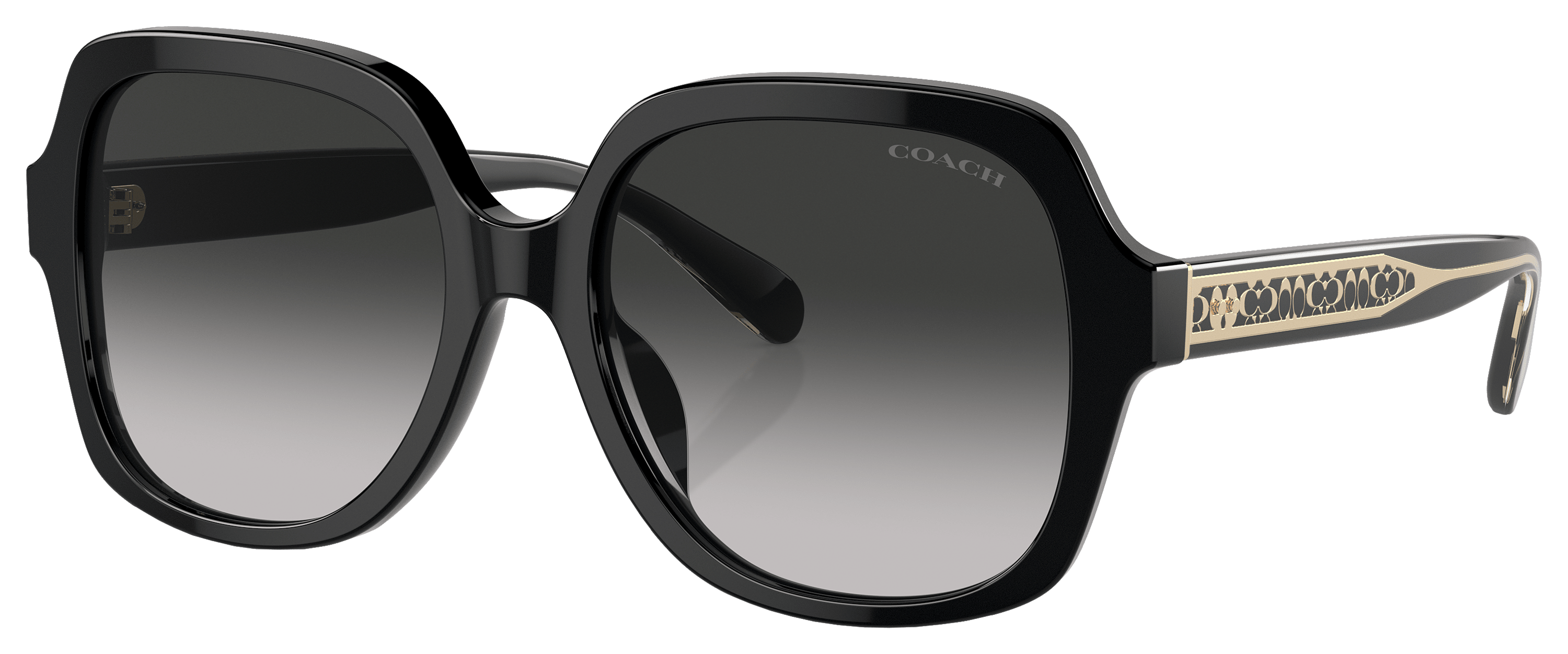 Coach HC8395U Sunglasses for Ladies