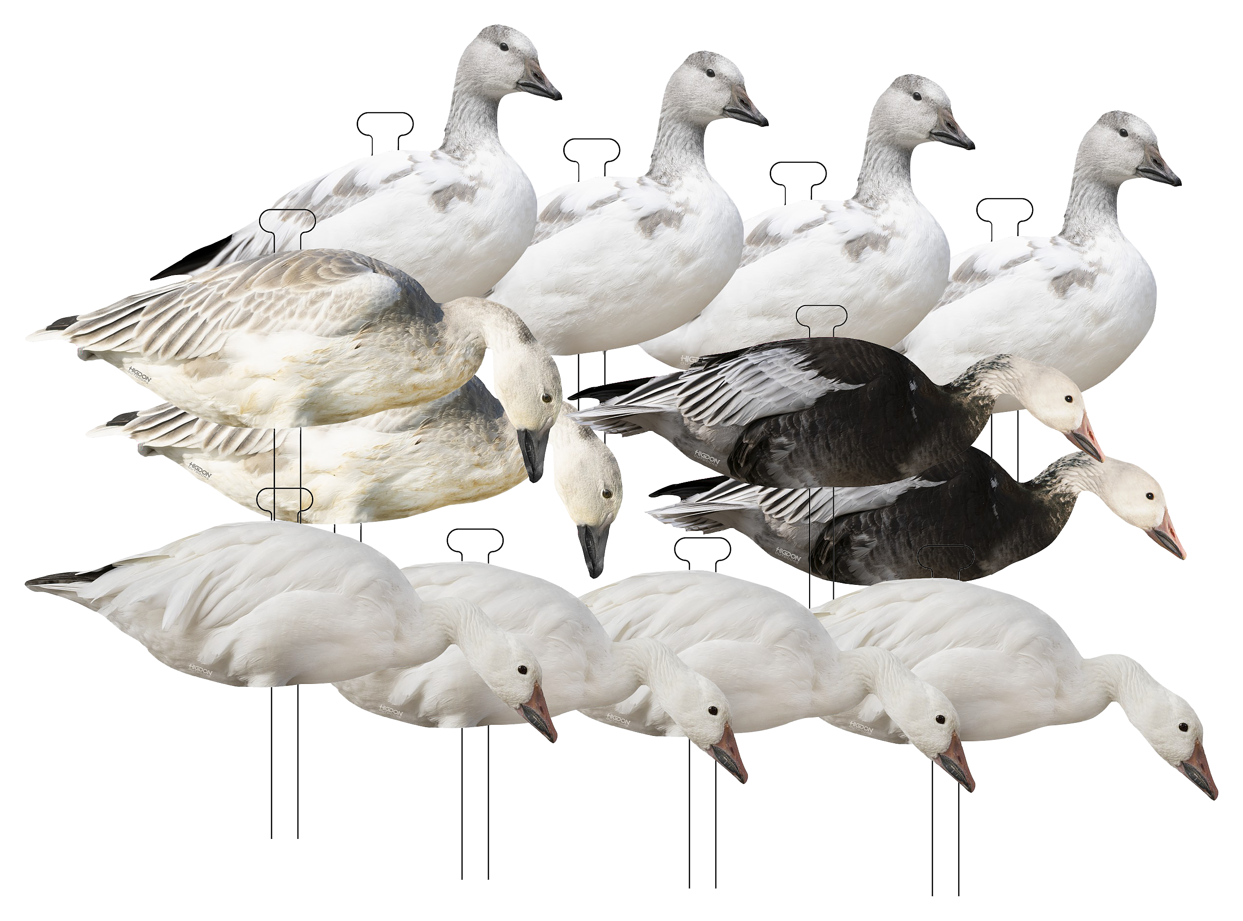 Higdon Outdoors FLATS Snow/Juvie/Blue Goose Standard Silhouette Goose Decoys 12 Pack