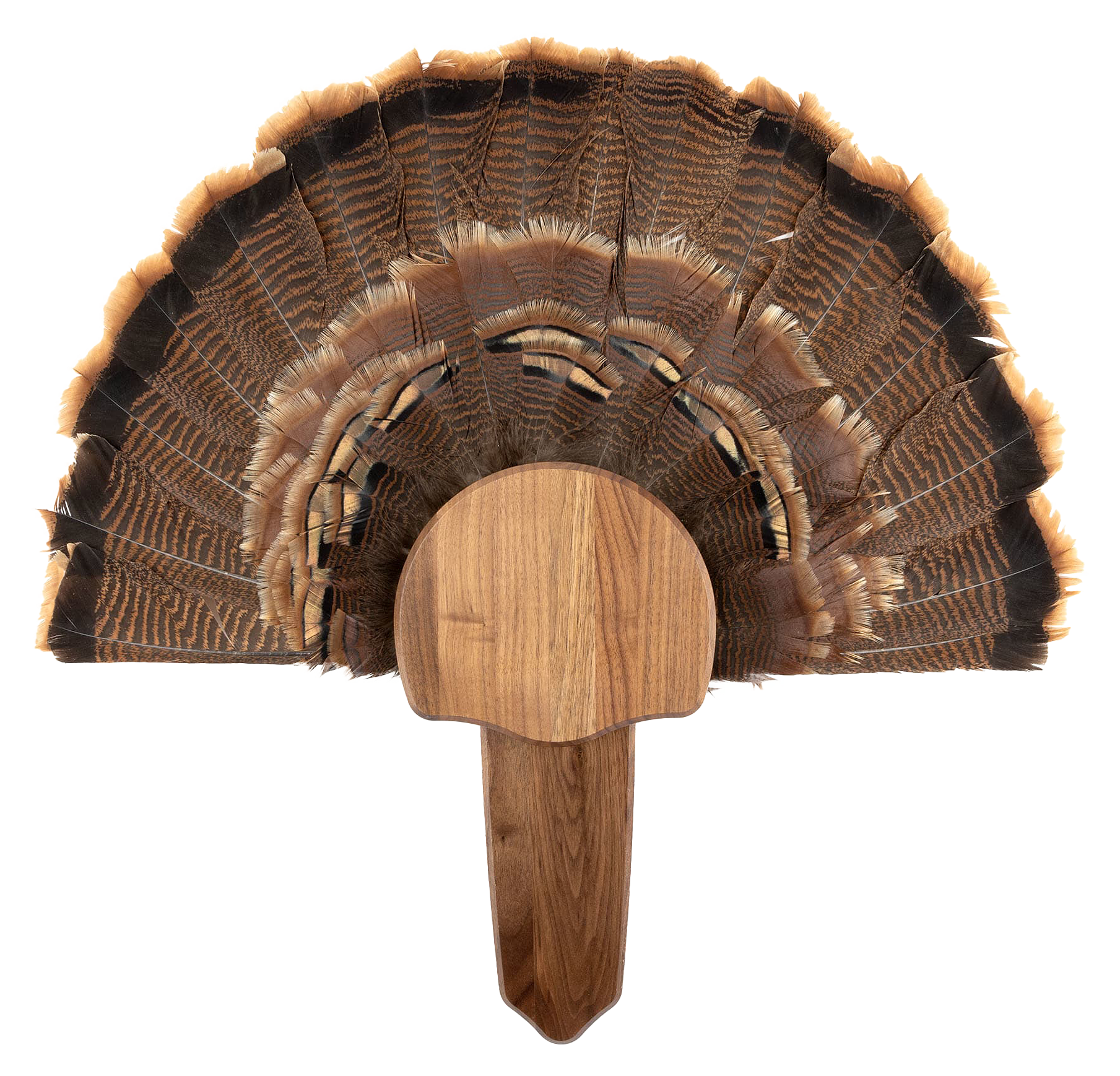 Walnut Hollow Country Solid-Wood Turkey Mount Kit - Walnut - Walnut Hollow Country