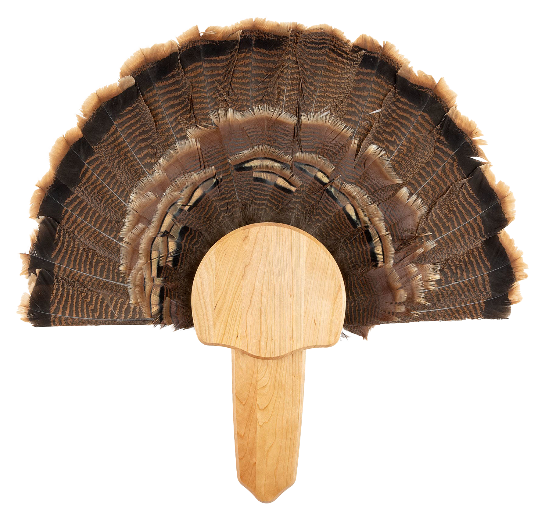 Walnut Hollow Country Solid-Wood Turkey Mount Kit - Cherry - Walnut Hollow Country