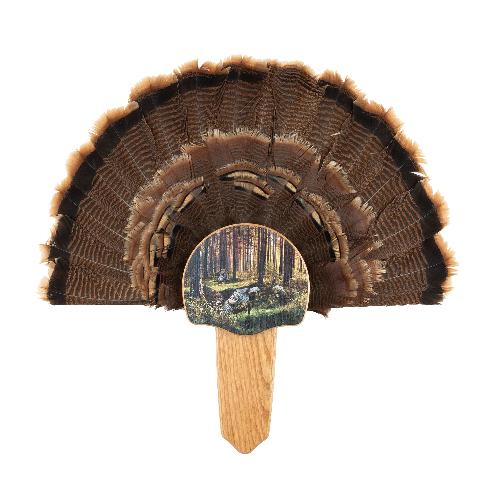 Walnut Hollow Country Turkey Mount Kit with Gobblers Lane Image - Walnut Hollow Country