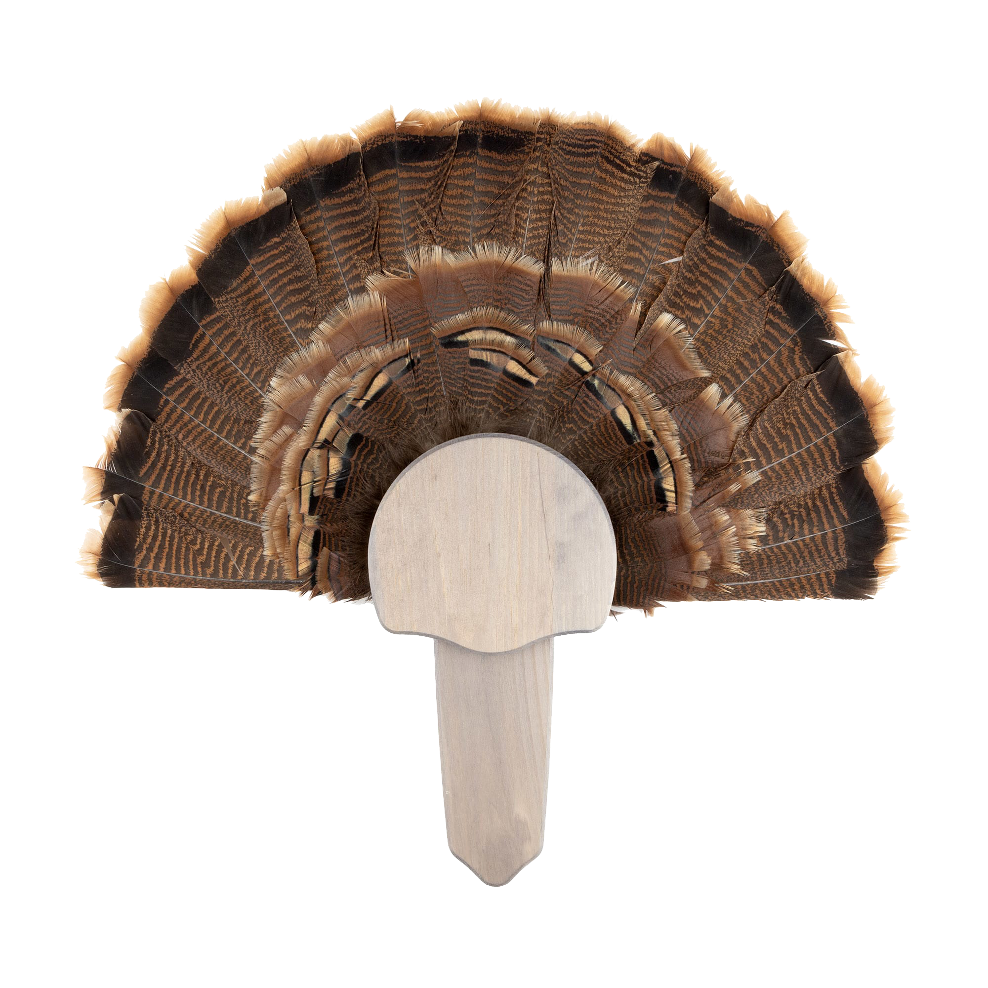 Walnut Hollow Country Rustic Pine Turkey Mount Kit - Walnut Hollow Country