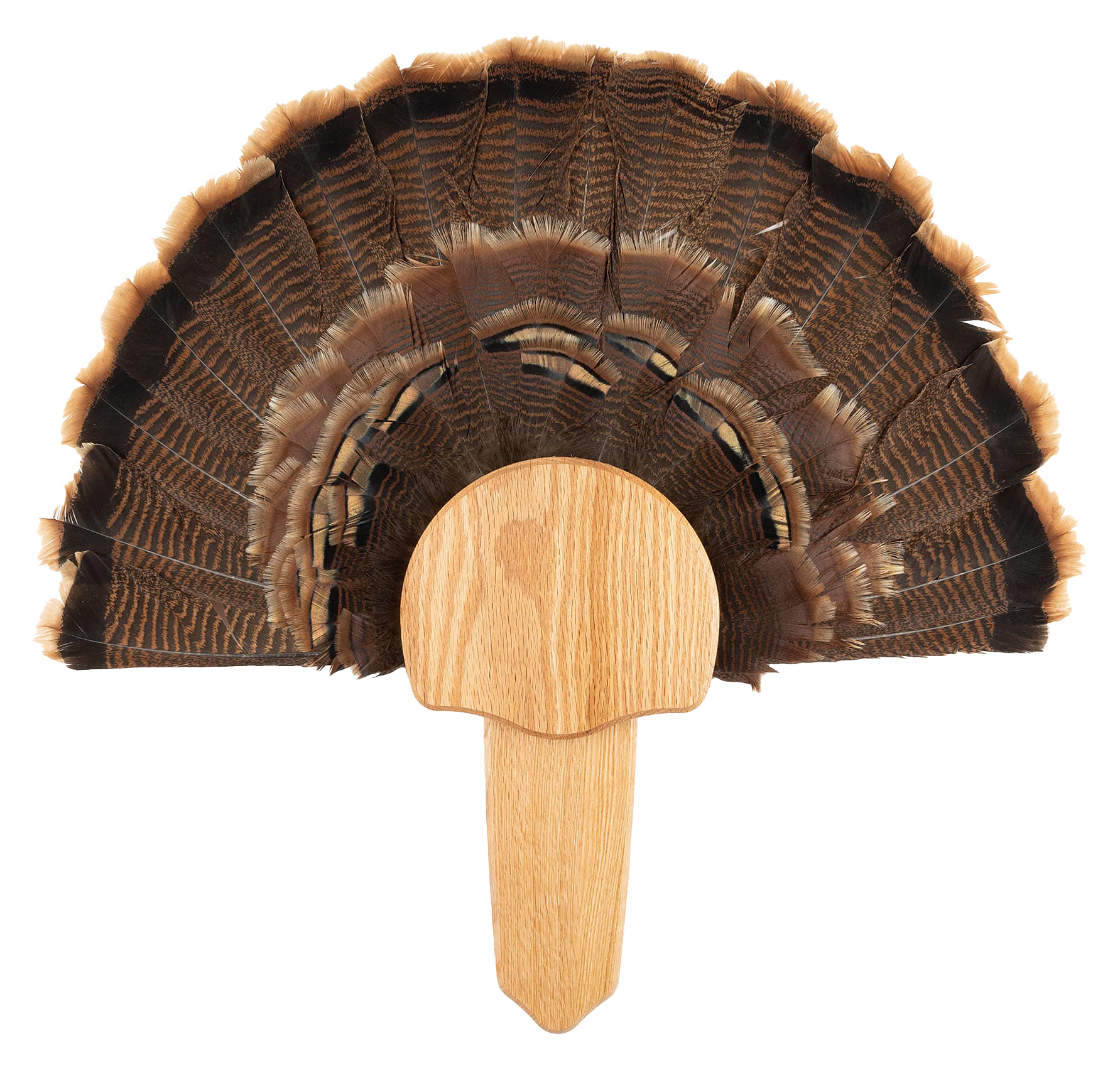 Walnut Hollow Country Solid-Wood Turkey Mount Kit - Oak - Walnut Hollow Country