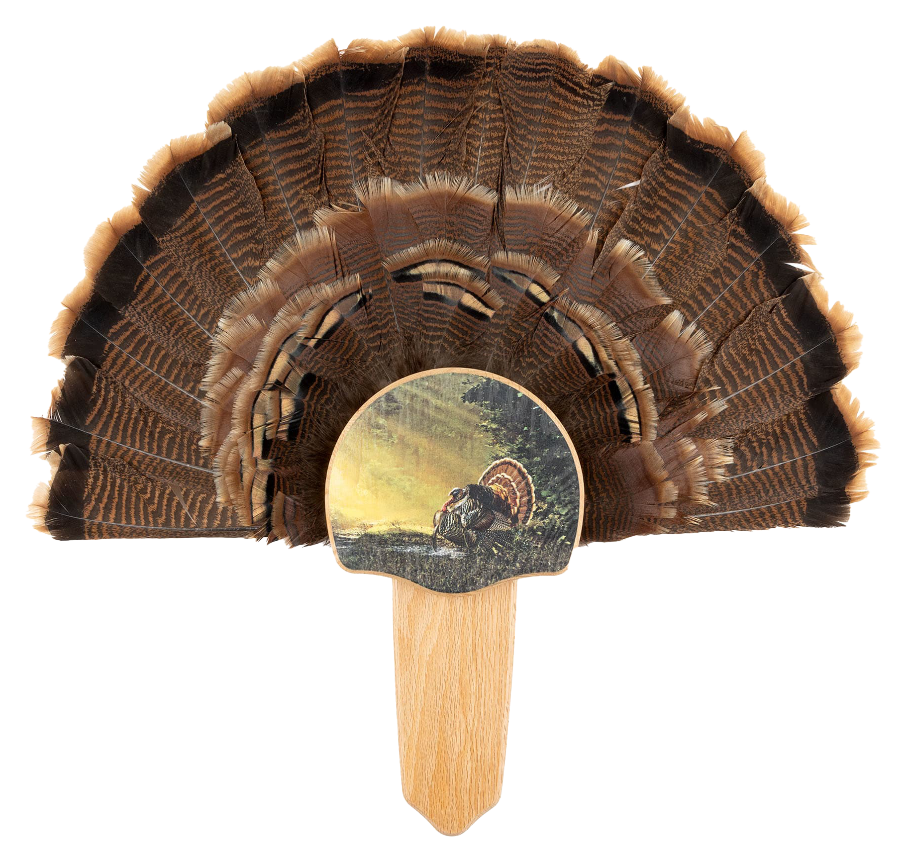 Walnut Hollow Country Turkey Mount Kit with Sunrise Call Image - Walnut Hollow Country