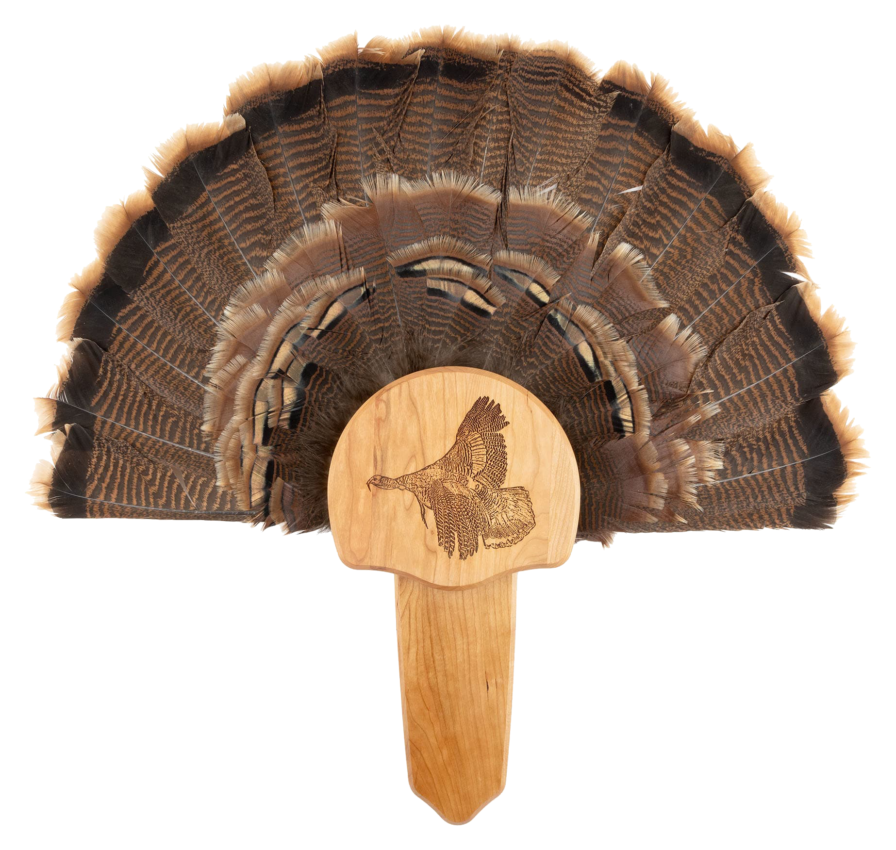 Walnut Hollow Country Turkey Mount Kit with Taking Flight Image - Walnut Hollow Country