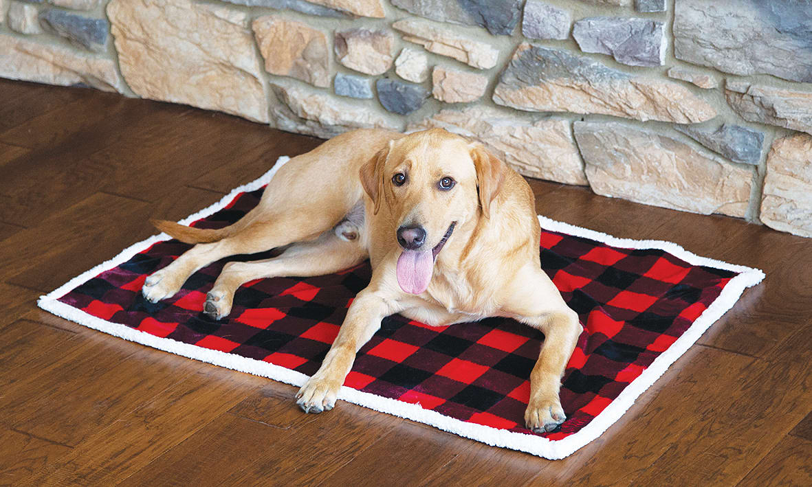 Image of Carstens, Inc. Lumberjack Plaid Dog Blanket - Lumberjack Red/Black - 28″ x 40″