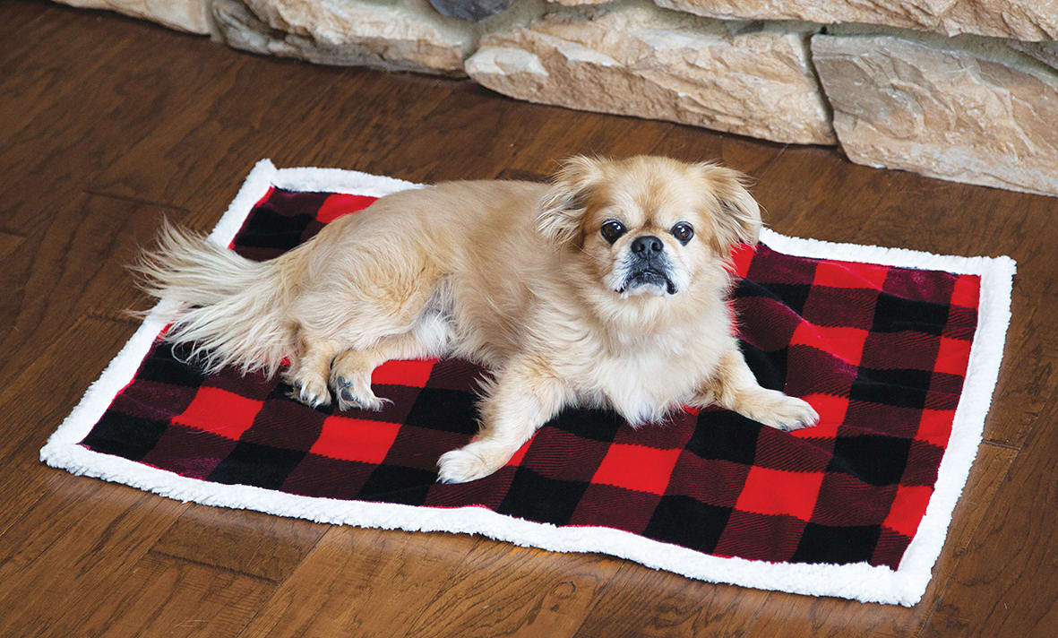 Image of Carstens, Inc. Lumberjack Plaid Dog Blanket - Lumberjack Red/Black - 20″ x 30″