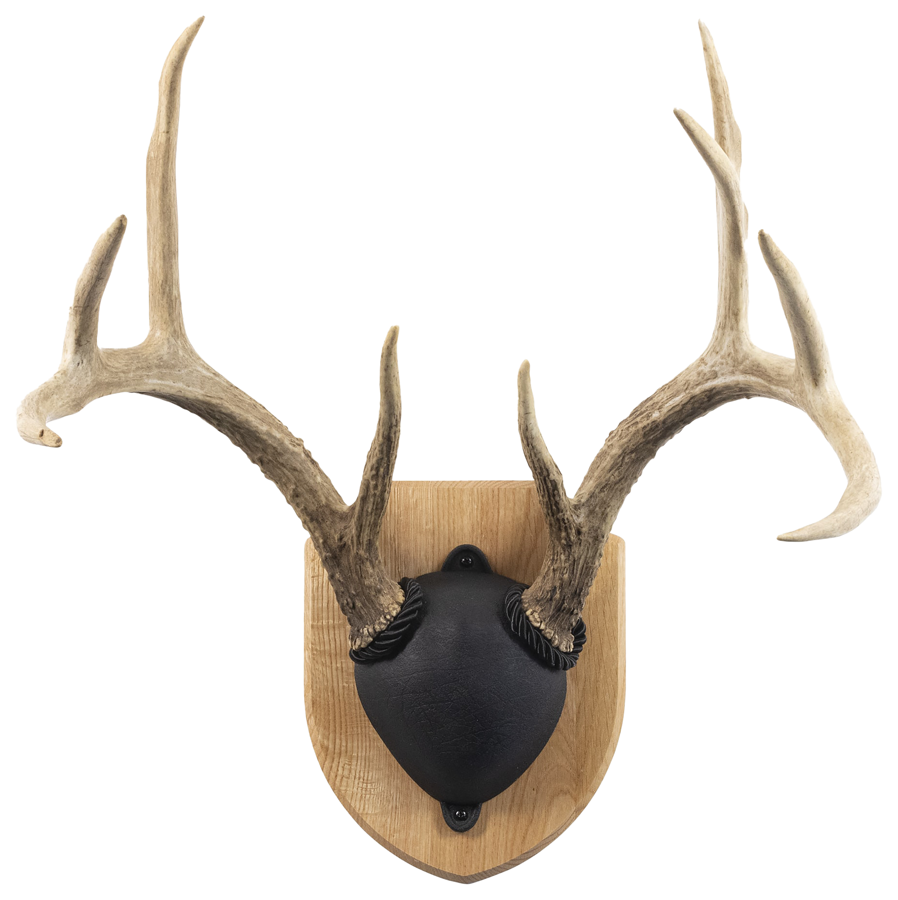 Walnut Hollow Country Deluxe Antler Display Kit - Oak - Walnut Hollow Country