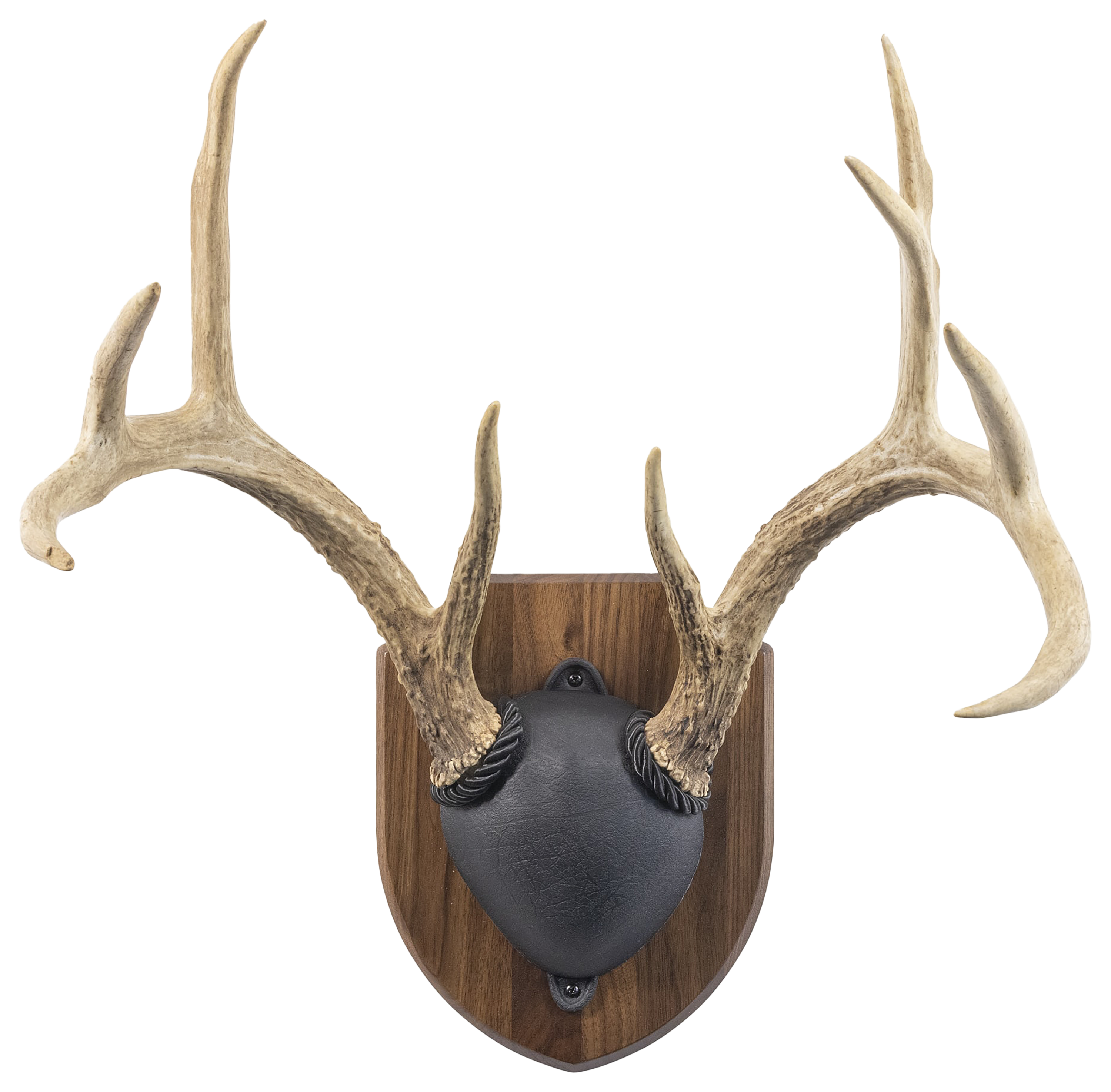 Walnut Hollow Country Deluxe Antler Display Kit - Walnut - Walnut Hollow Country