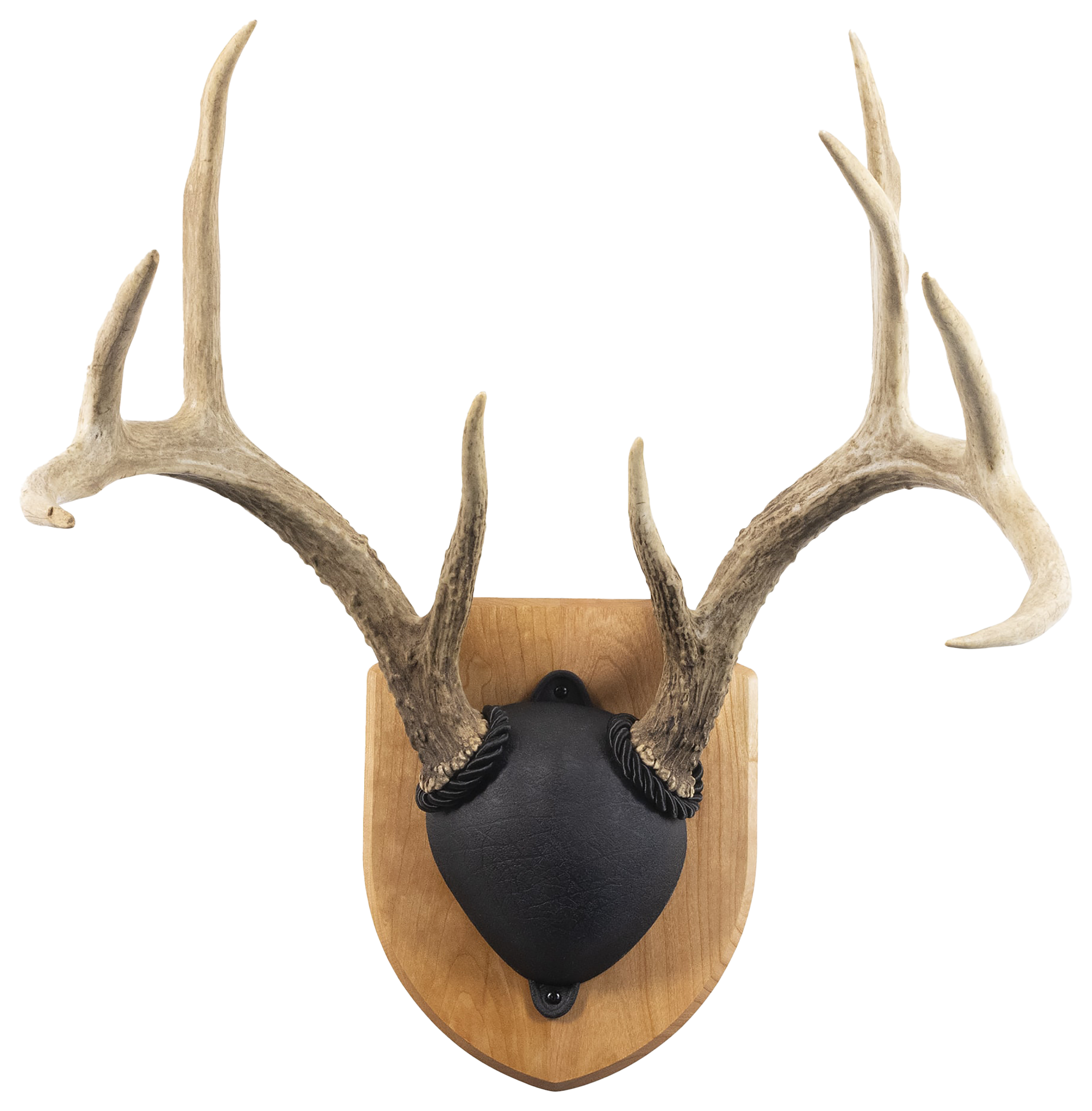 Walnut Hollow Country Deluxe Antler Display Kit - Cherry - Walnut Hollow Country