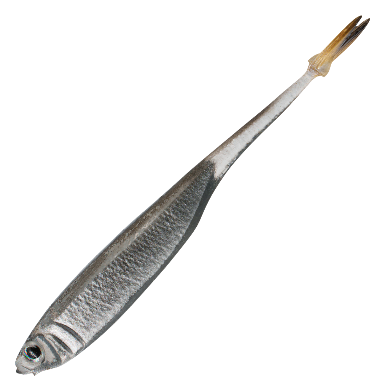 Image of 6th Sense Fishing Strobe Minnow - Smoke Flash - 4″