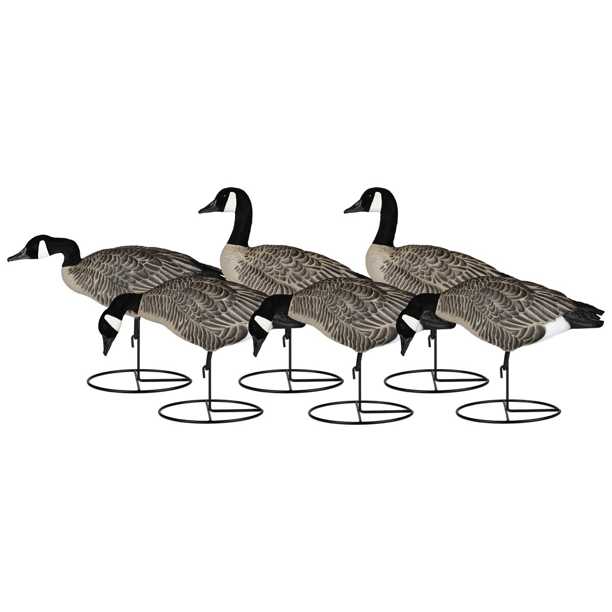 Dakota Decoy Company Dakota X-Treme Lessor Full Body Canada Goose Decoys 6 Pack - $219.99 at Cabela's Program