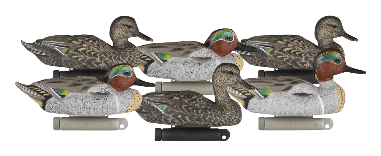 Dakota Decoy Company Dakota Decoys X-Treme Green Winged Teal Duck Decoys 6 Pack - $69.99 at Cabela's Program