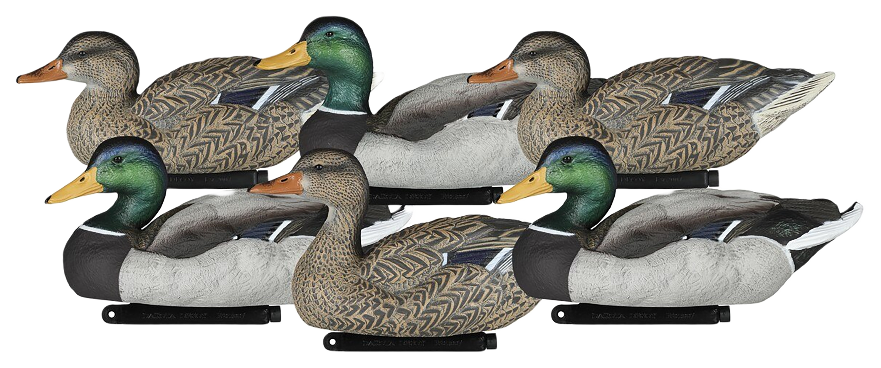 Dakota Decoys Mallard Floater Decoys - 6 Pack