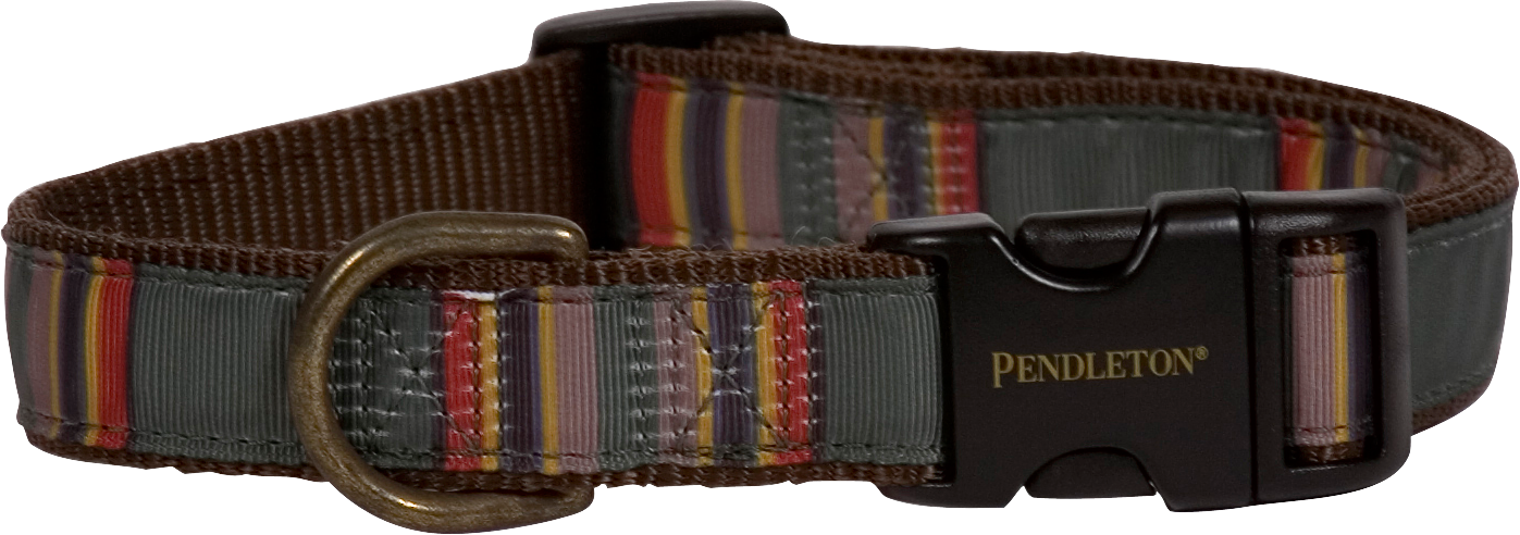 Pendleton Yakima Camp Dog Collars - Green - Small - Carolina Pet