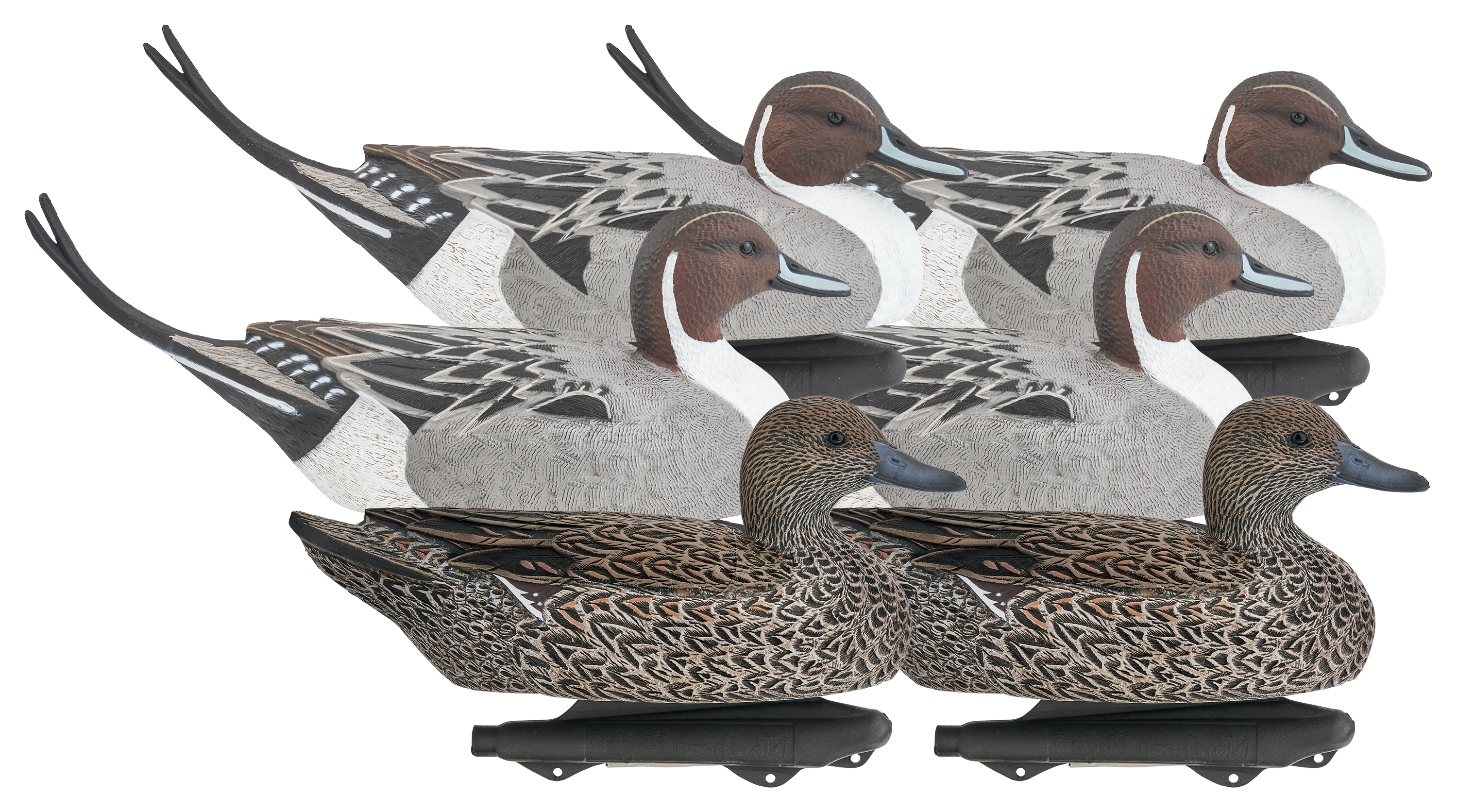 Northern Flight Northern Flight Pro Series Pintail Duck Decoy 6-Pack - $58.98 at Cabela's Program
