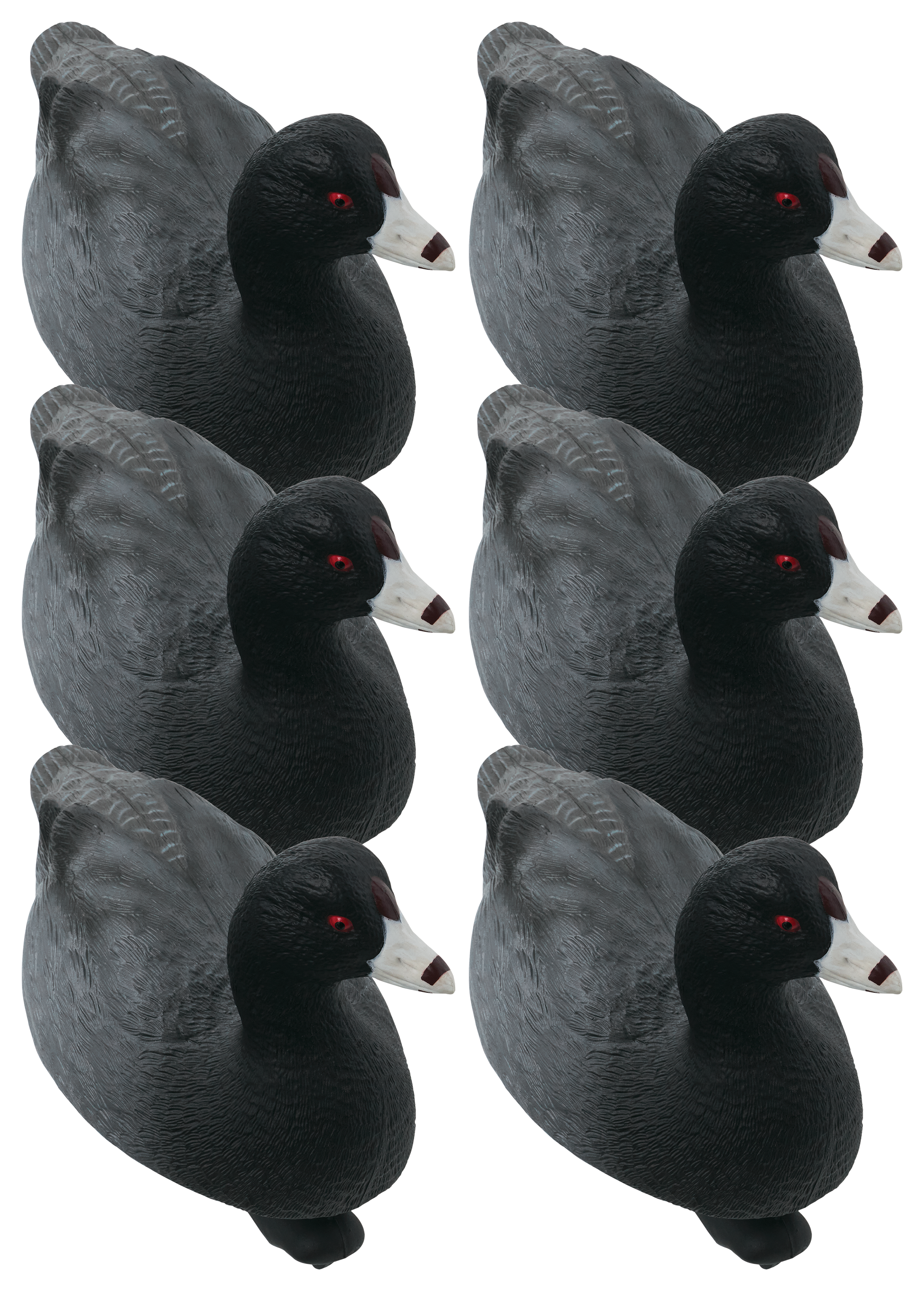 Northern Flight Pro Series Coot Decoys 6 Pack - Northern Flight
