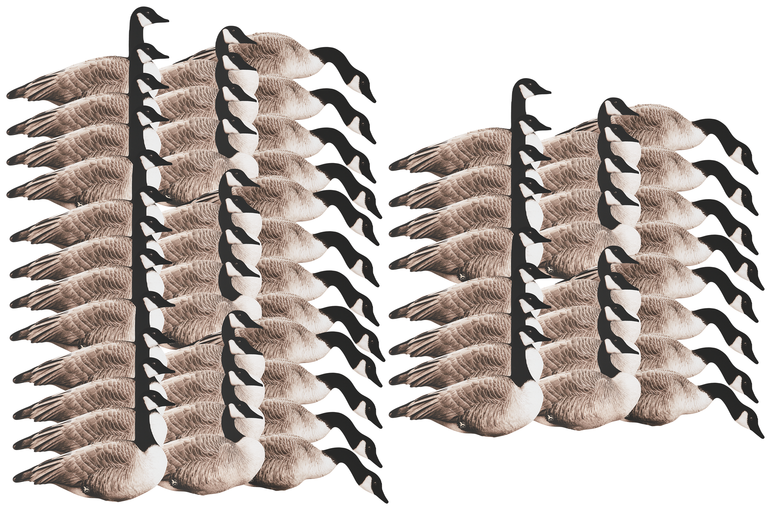Northern Flight Canada Goose Silhouette Goose Decoys - 60 Pack - Northern Flight