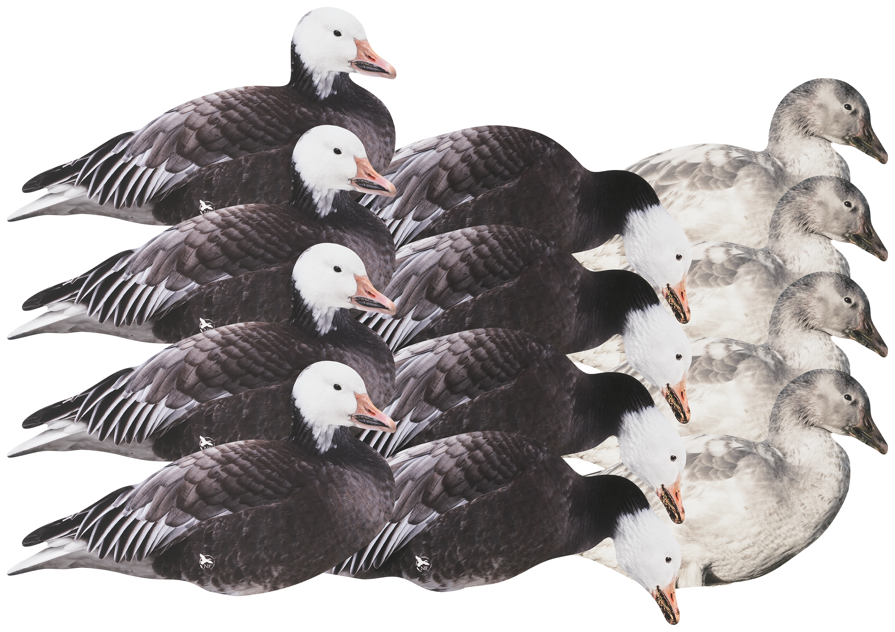 Northern Flight Blue and Juvie Goose Silhouette Goose Decoy 12 Pack