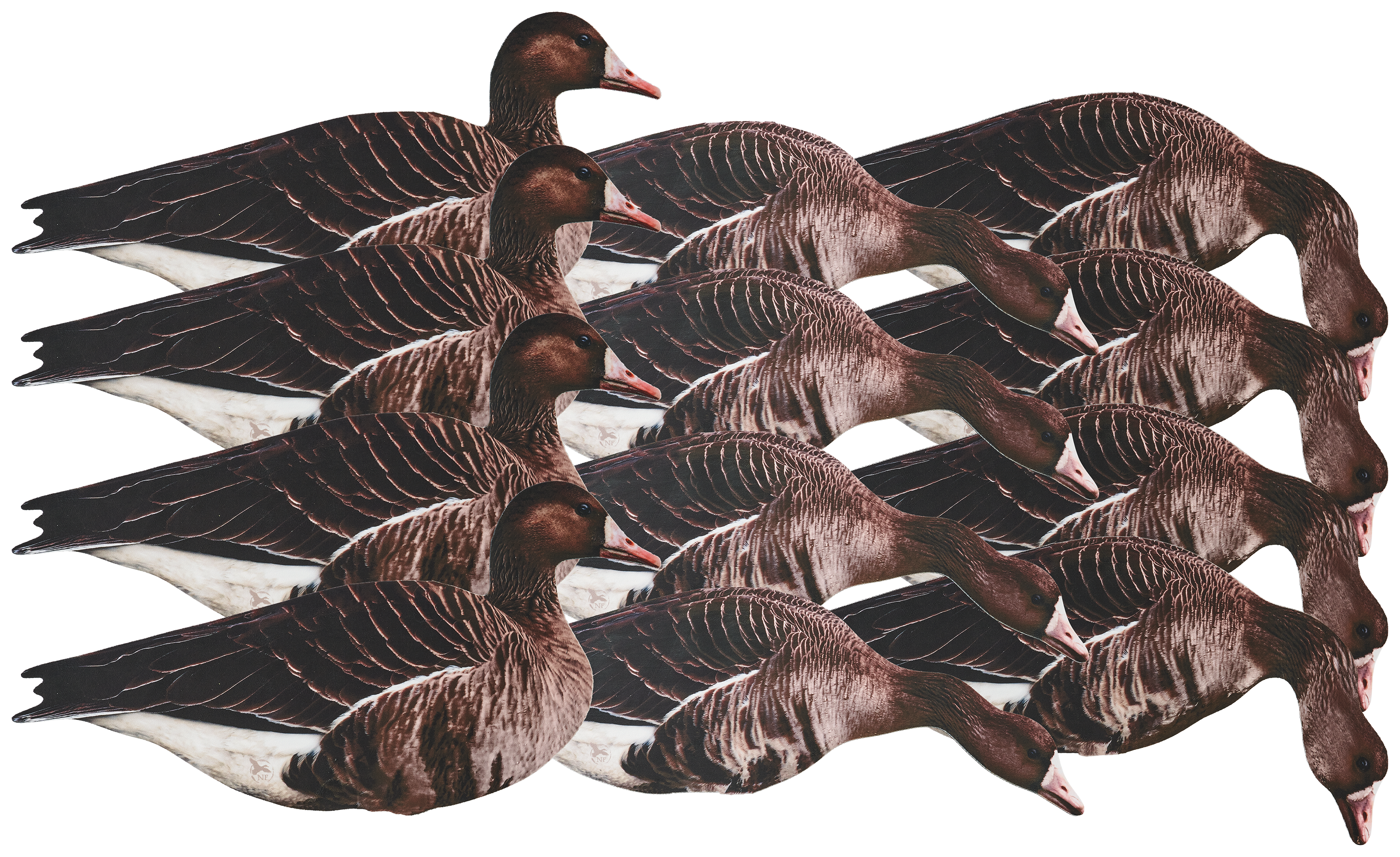 Northern Flight Northern Flight Specklebelly Goose Flocked Silhouette Goose Decoy 12 Pack - $101.98 at Cabela's Program