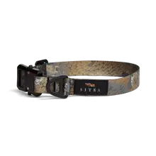 Sitka Dog Collar - Timber - Large - SITKA