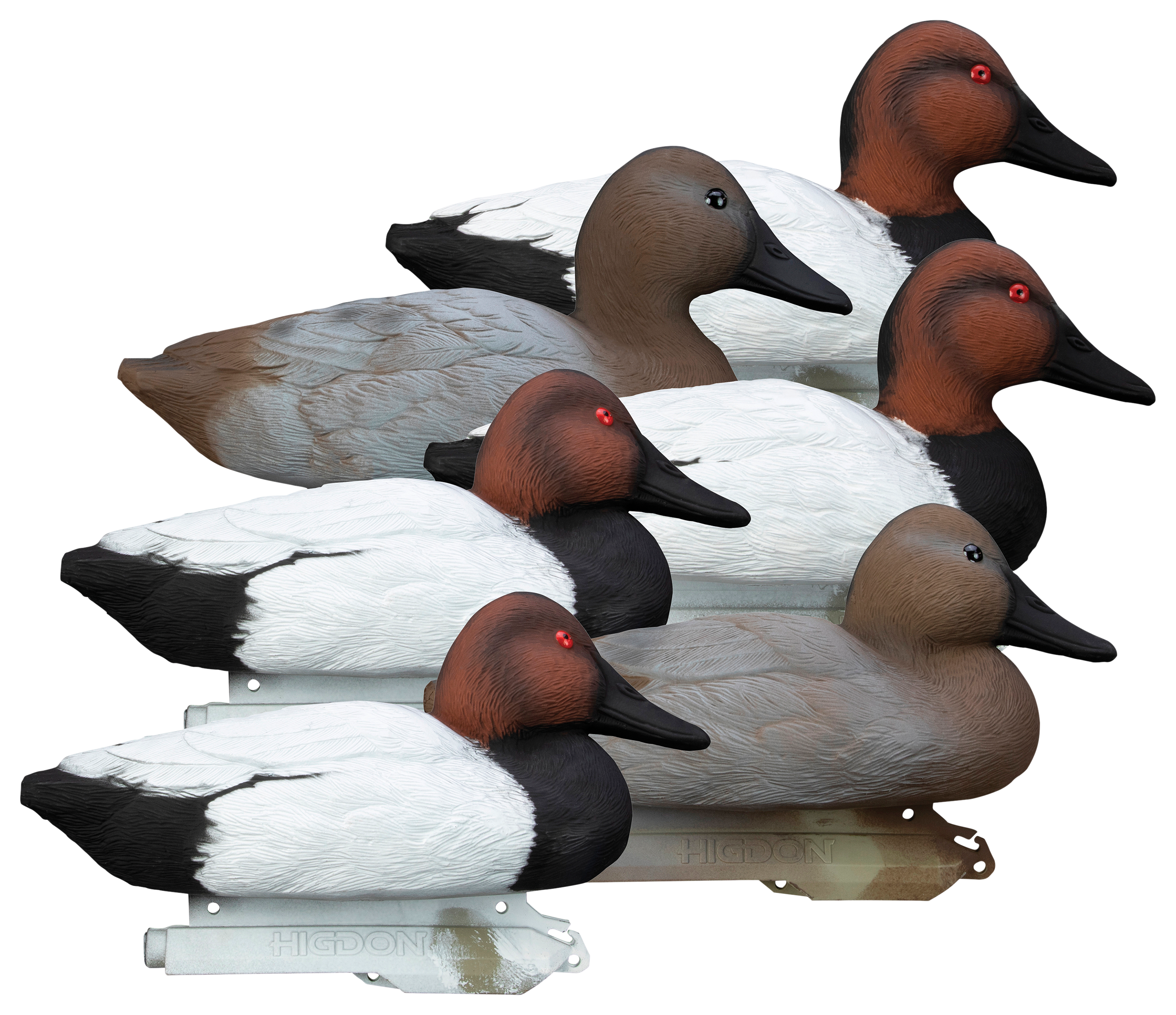 Higdon Outdoors Standard Canvasback Foam-Filled Duck Decoys