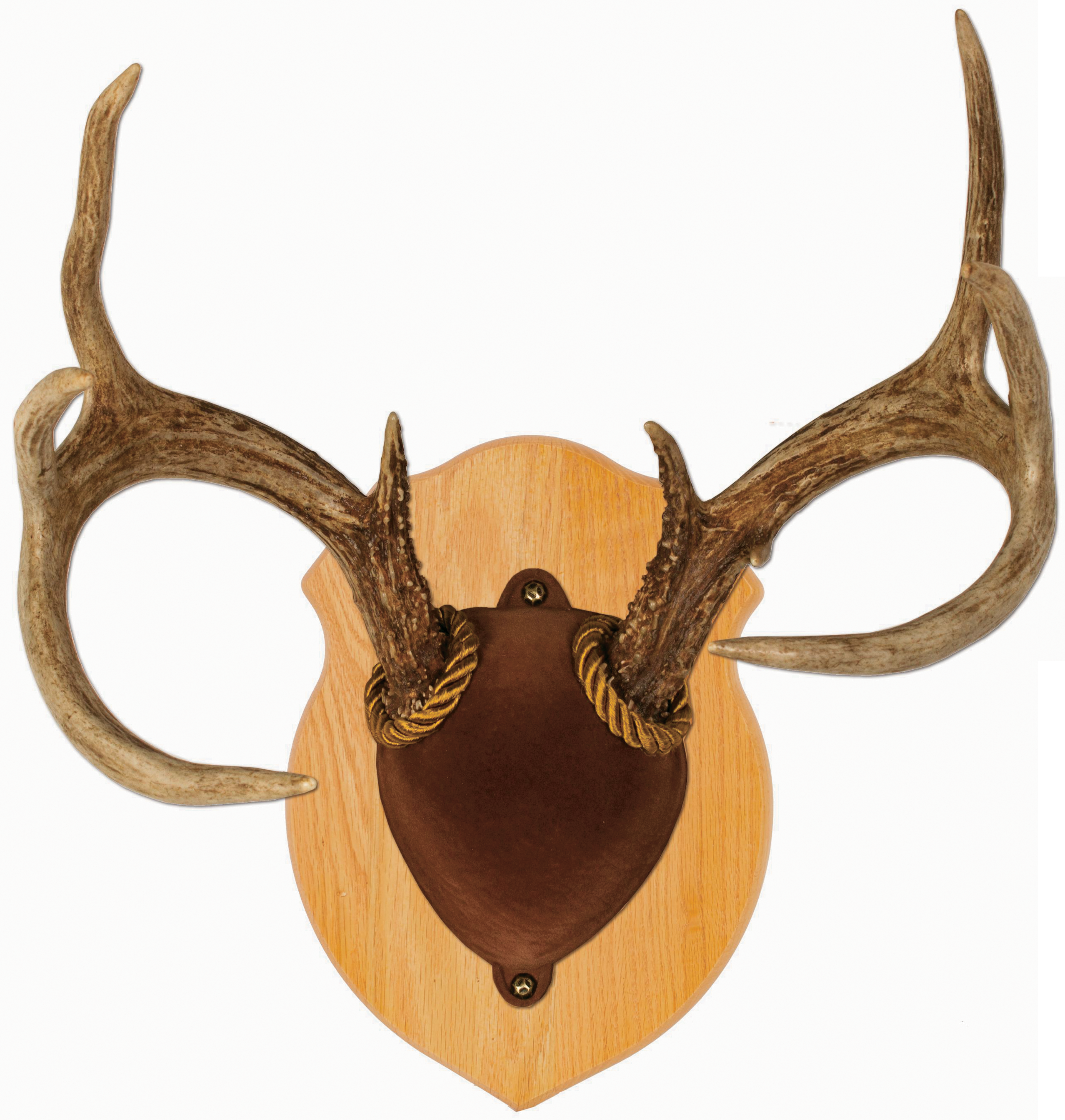 Walnut Hollow Country Solid-Oak Antler Mount Kit - Walnut Hollow Country