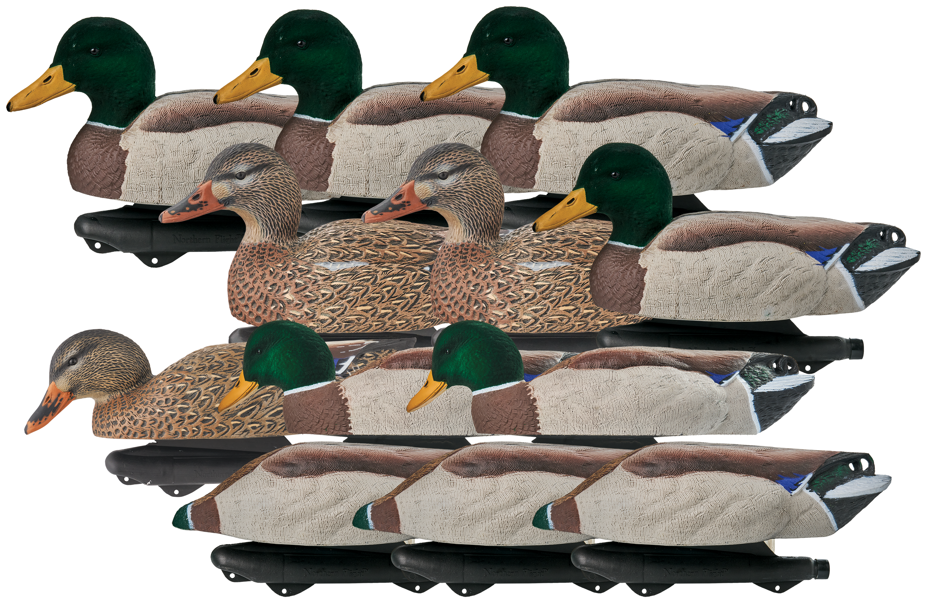 Northern Flight Pro Series Flocked Head Mallard Duck Decoy 12-Pack with Decoy Bag