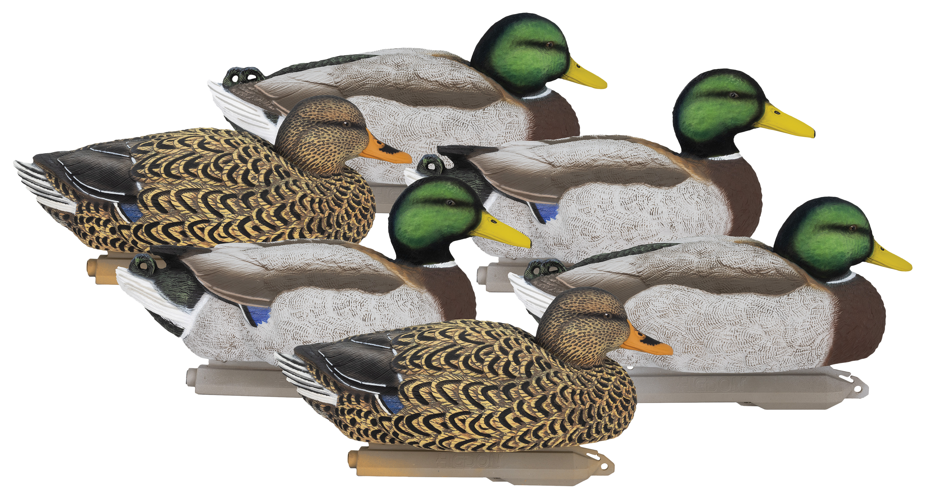 Higdon Outdoors Higdon Legacy Magnum Mallard Foam-Filled Flocked Heads Duck Decoy 6-Pack - $119.99 at Cabela's Program