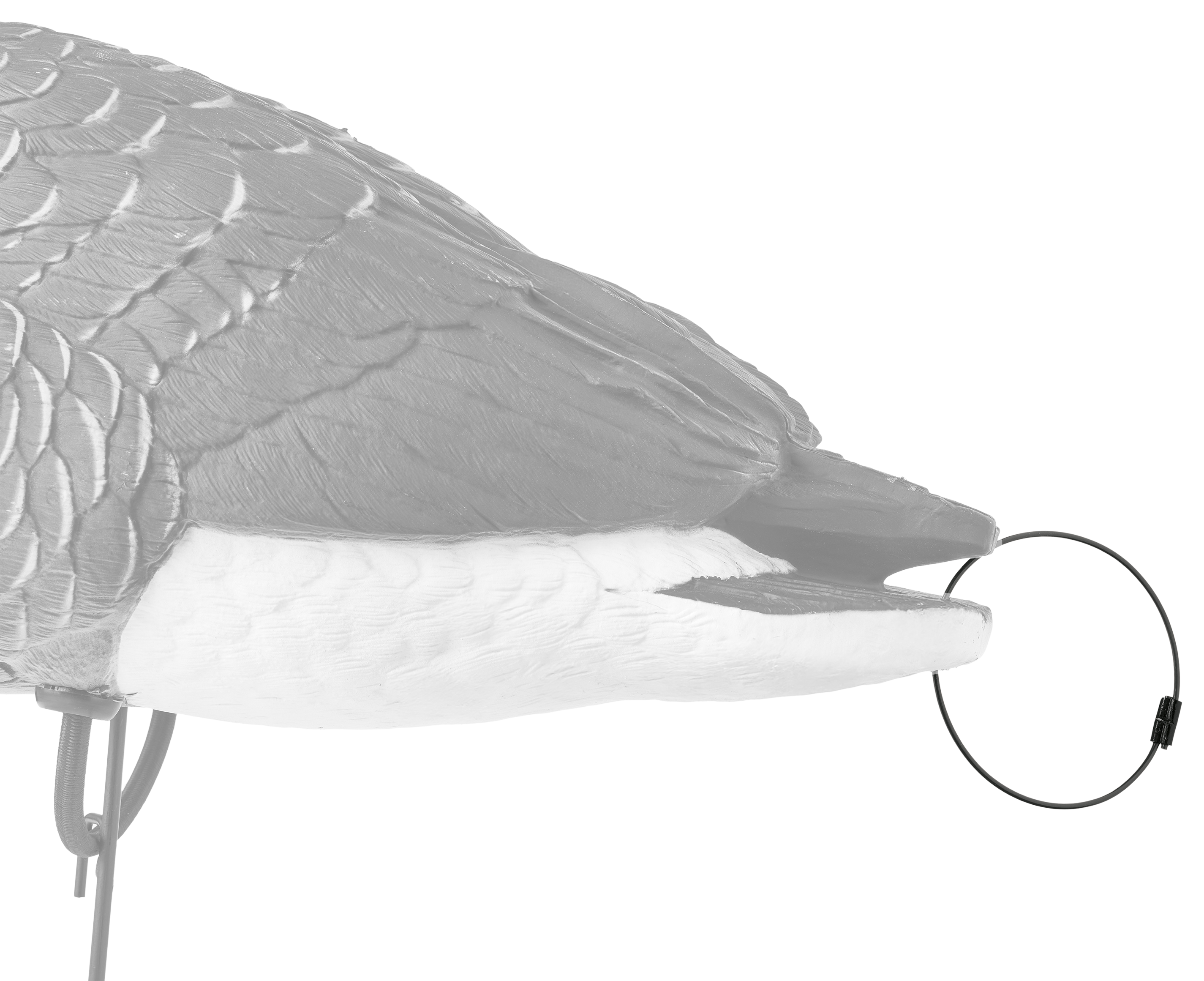 Northern Flight Tail Loop Kit With Coated Cable