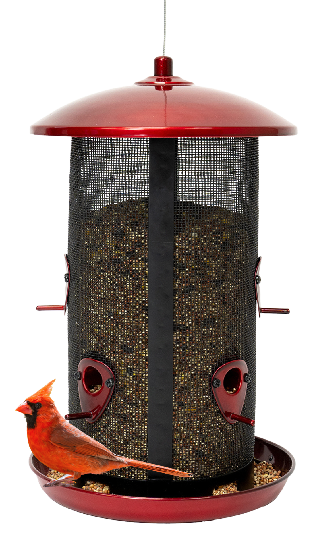 North States Crimson XL Twin Feeder