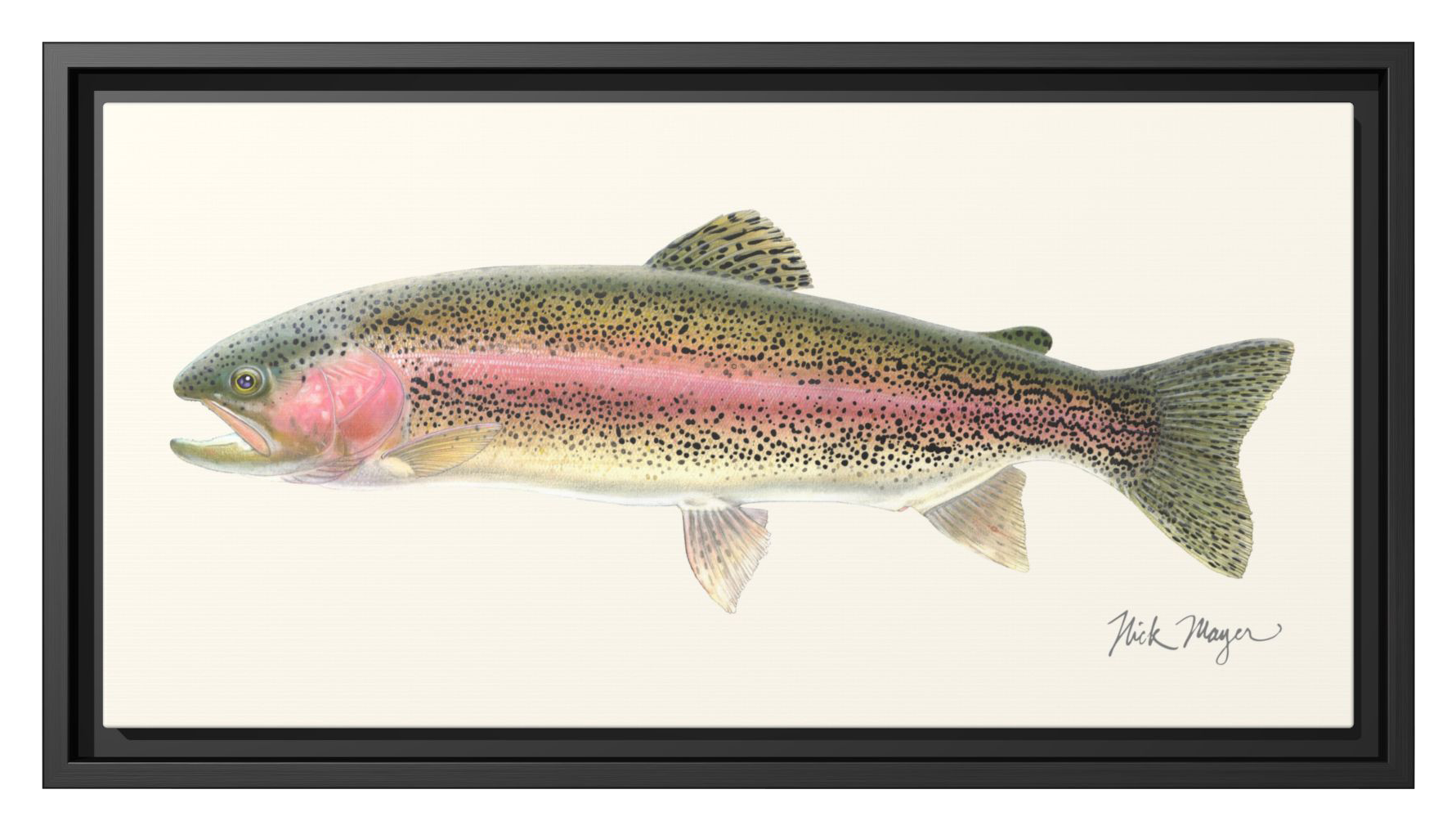 Nick Mayer Art Nick Mayer Rainbow Trout Framed Canvas - $99.99 at Cabela's Program