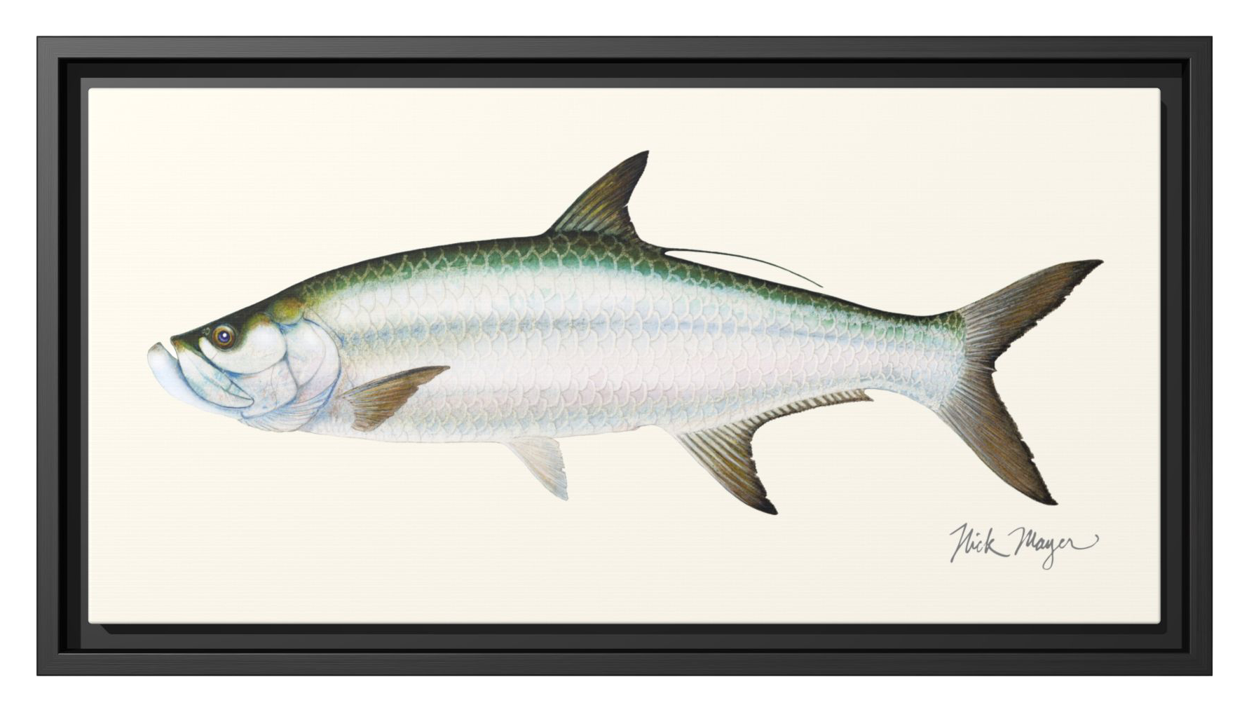 Nick Mayer Art Nick Mayer Tarpon Framed Canvas - $99.99 at Cabela's Program