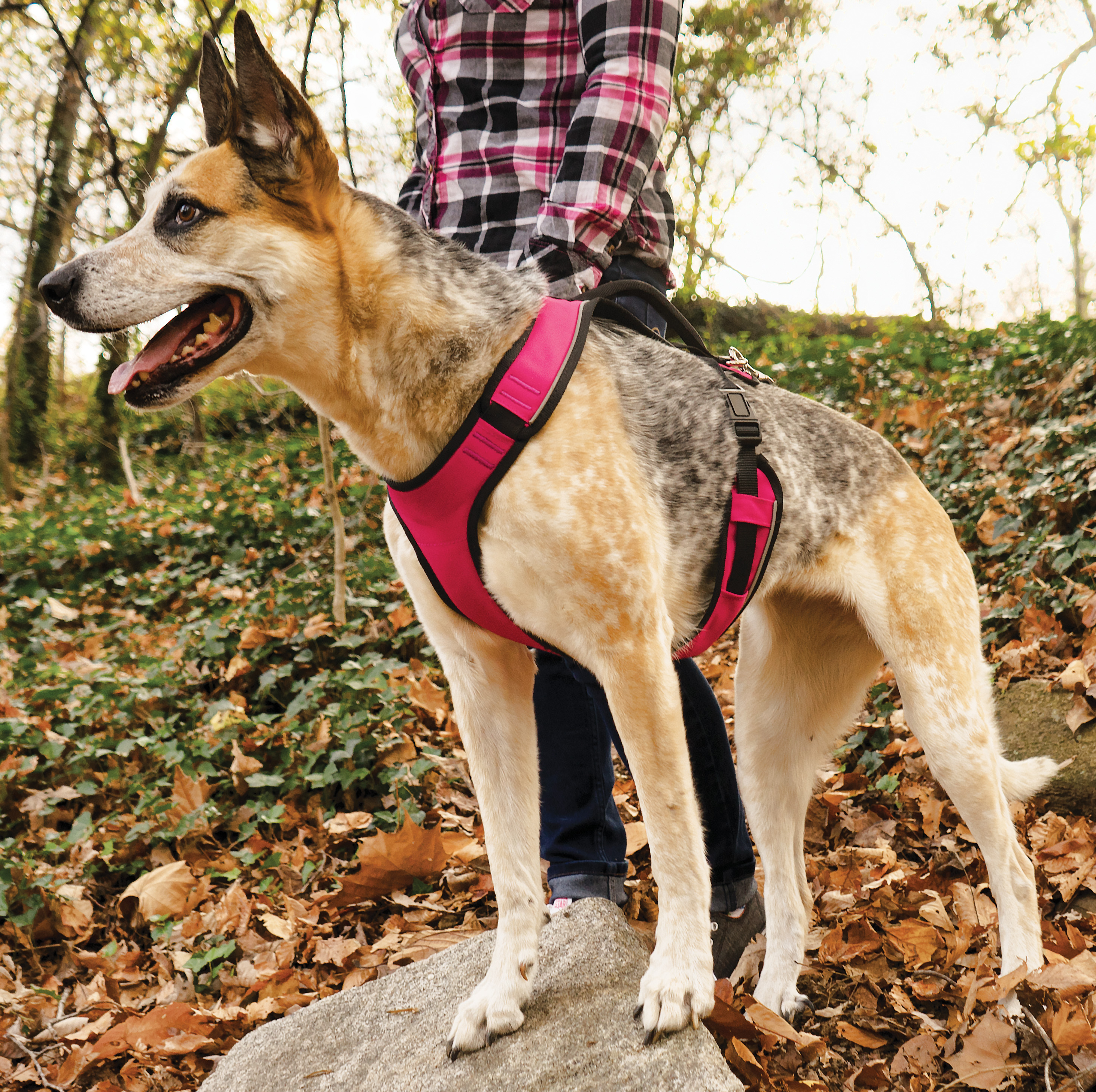 PetSafe EasySport Dog Harness - Pink - X-Small - PetSafe