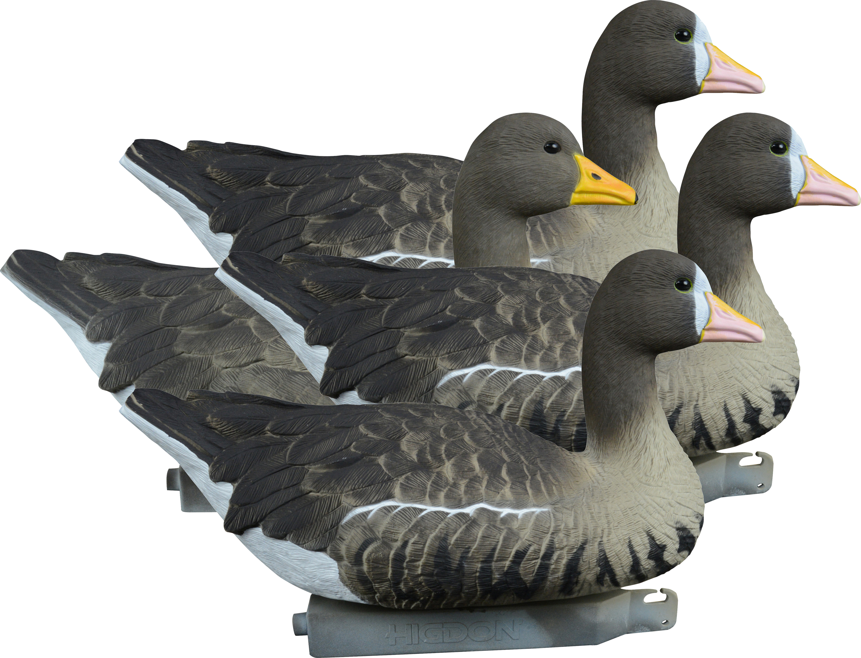 Higdon Outdoors Full-Size Foam-Filled Floater Specklebelly Goose Decoys