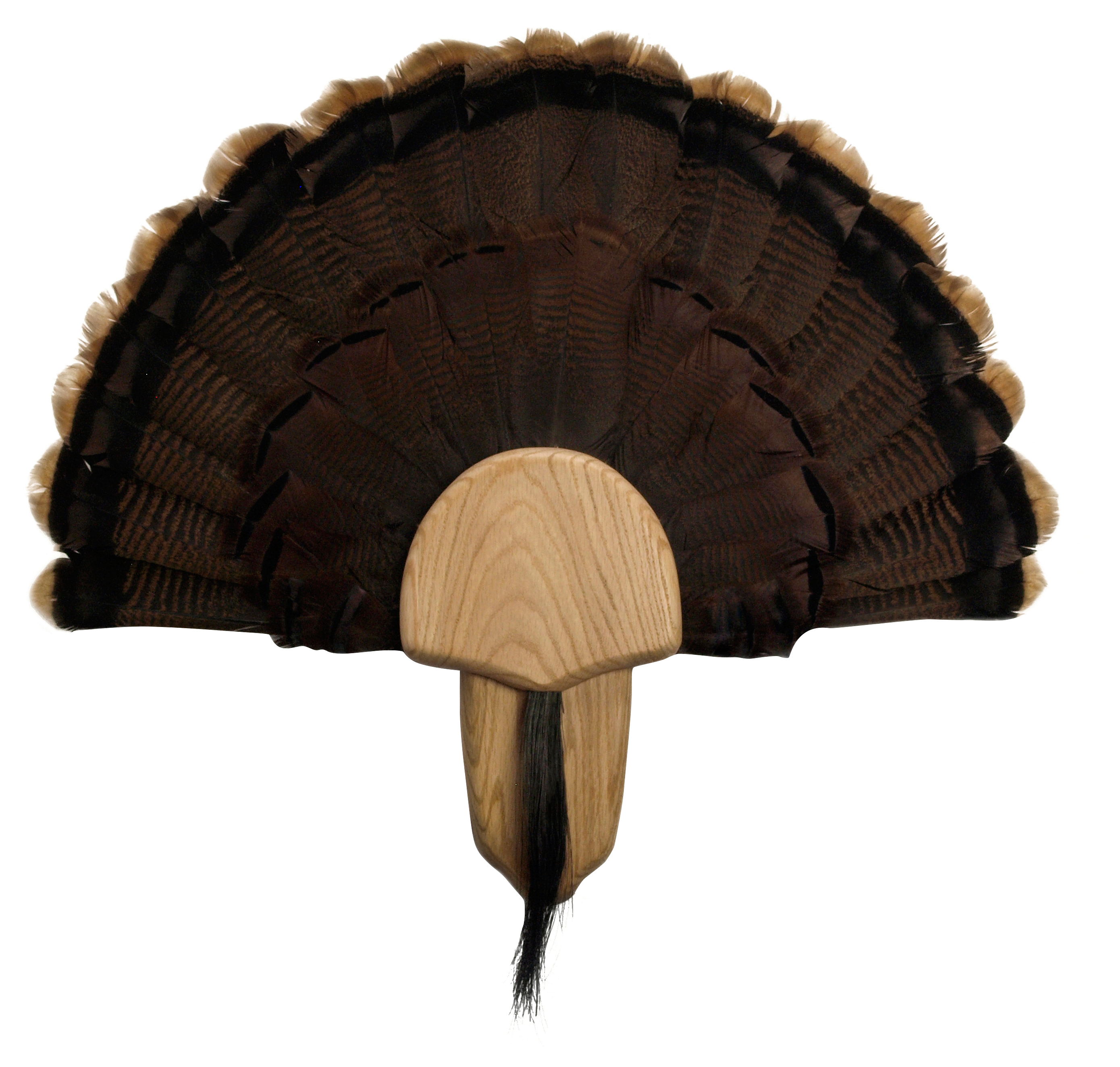 Walnut Hollow Country Turkey Mount Kit - Oak - Walnut Hollow Country