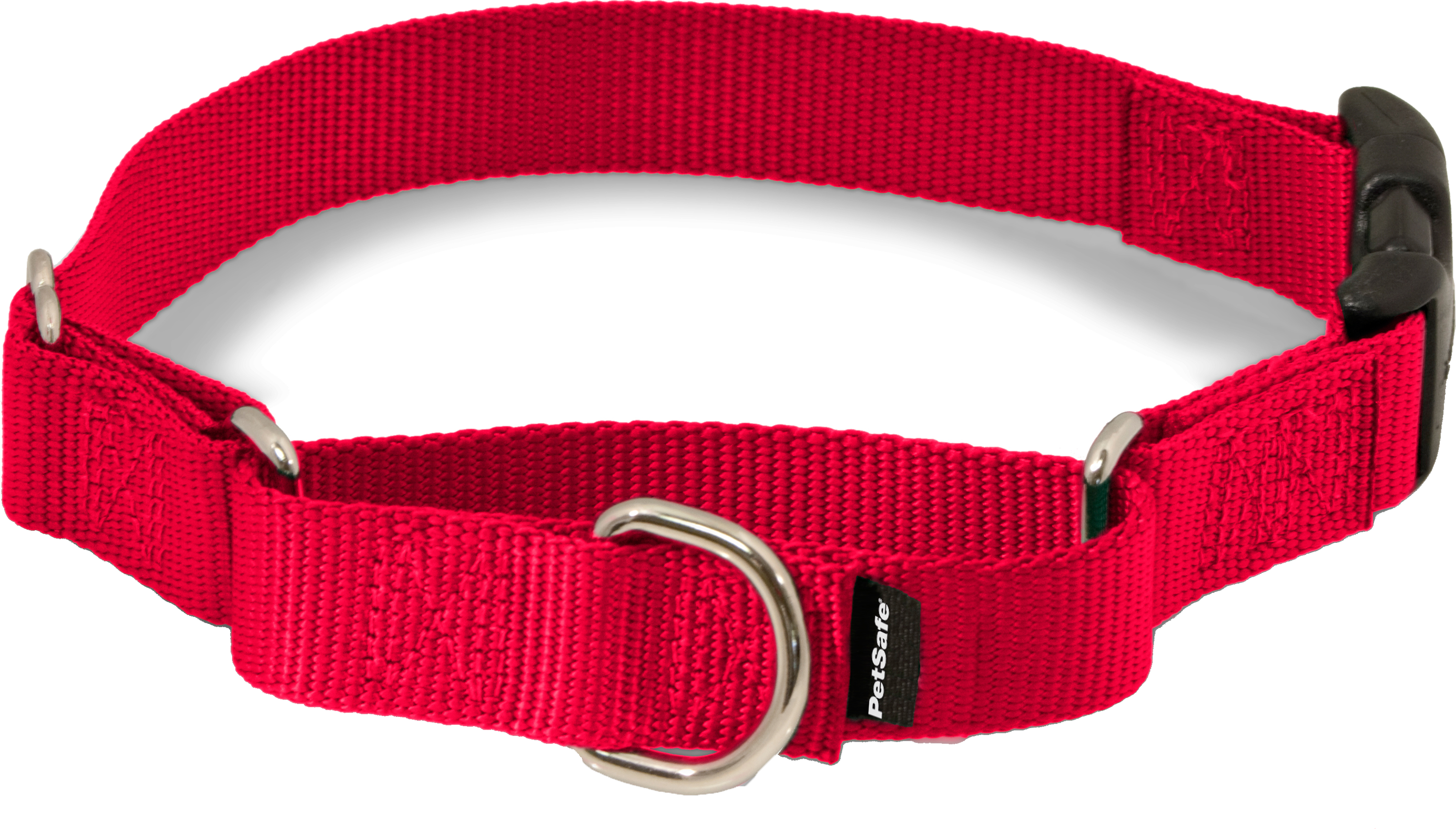 PetSafe Martingale Quick-Snap Collar - Raspberry - Large - PetSafe
