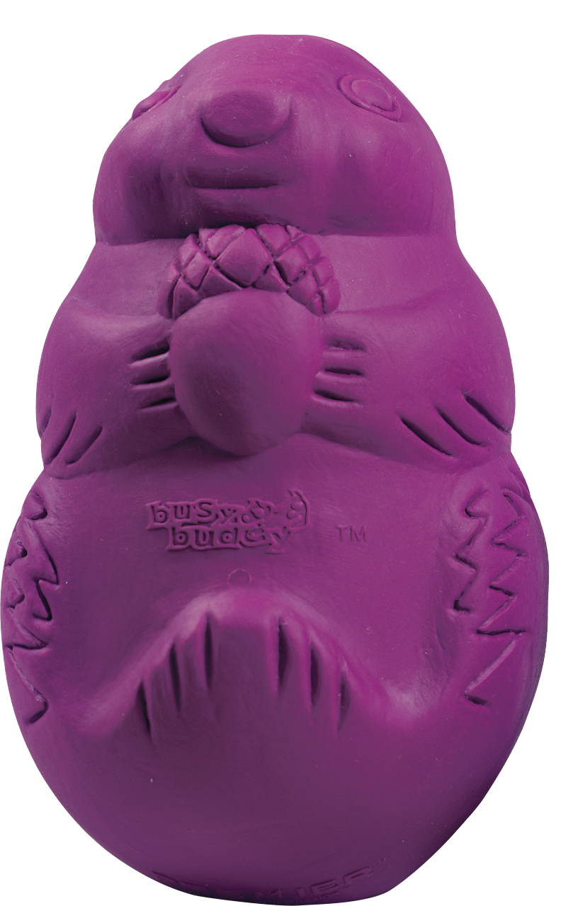 PetSafe Busy Buddy Squirrel Dude - PetSafe