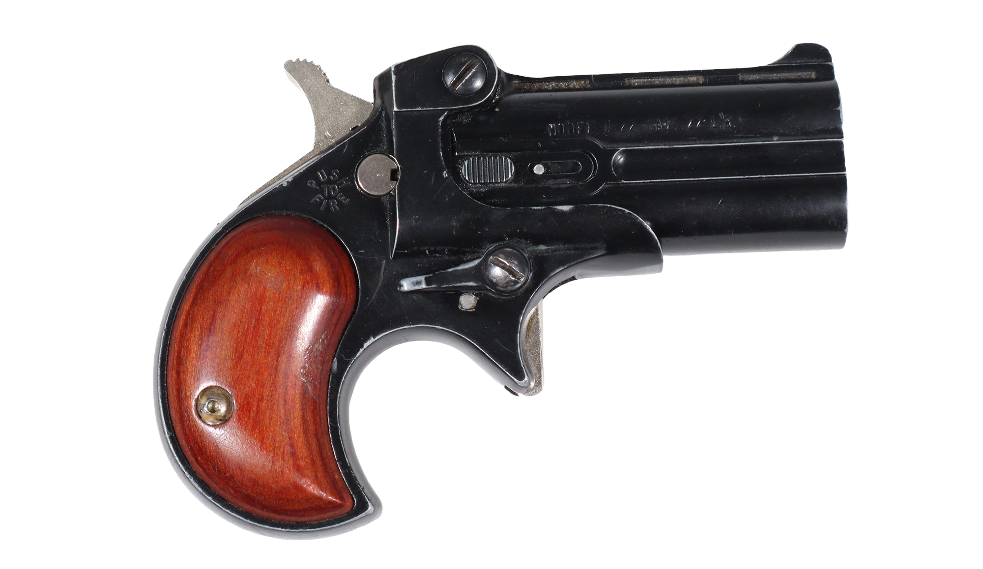 Davis Industries Davis Industries ~ D-22 ~ .22 LR - $199.99 at Cabela's Program