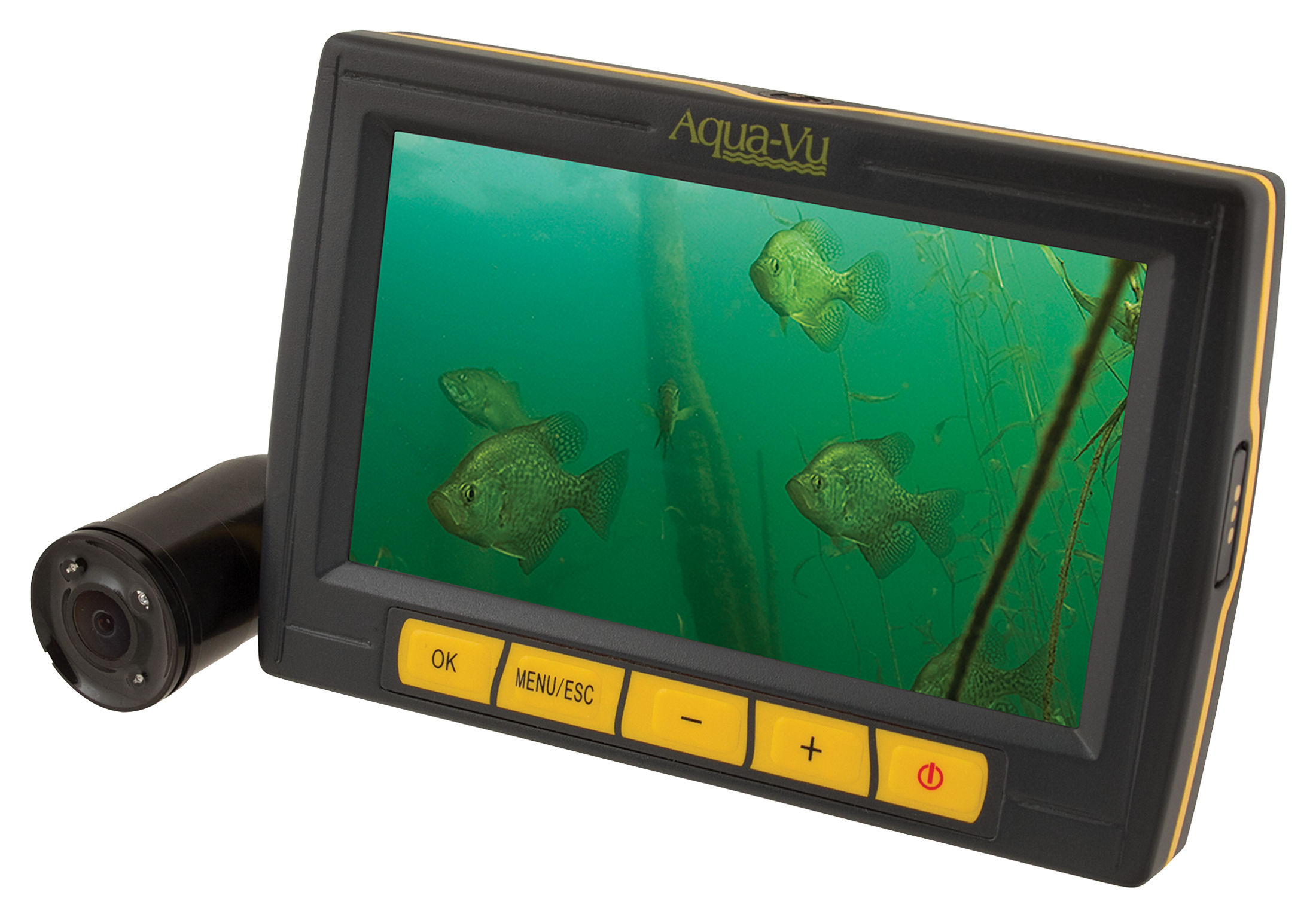 Ice Fishing Underwater Cameras - Go Salmon Fishing