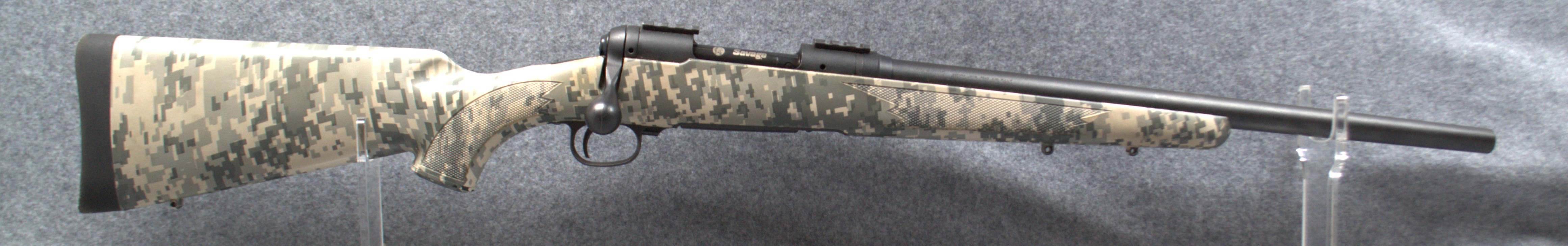 Savage Arms SAVAGE~10~.308 WINCHESTER - $729.99 at Cabela's Program