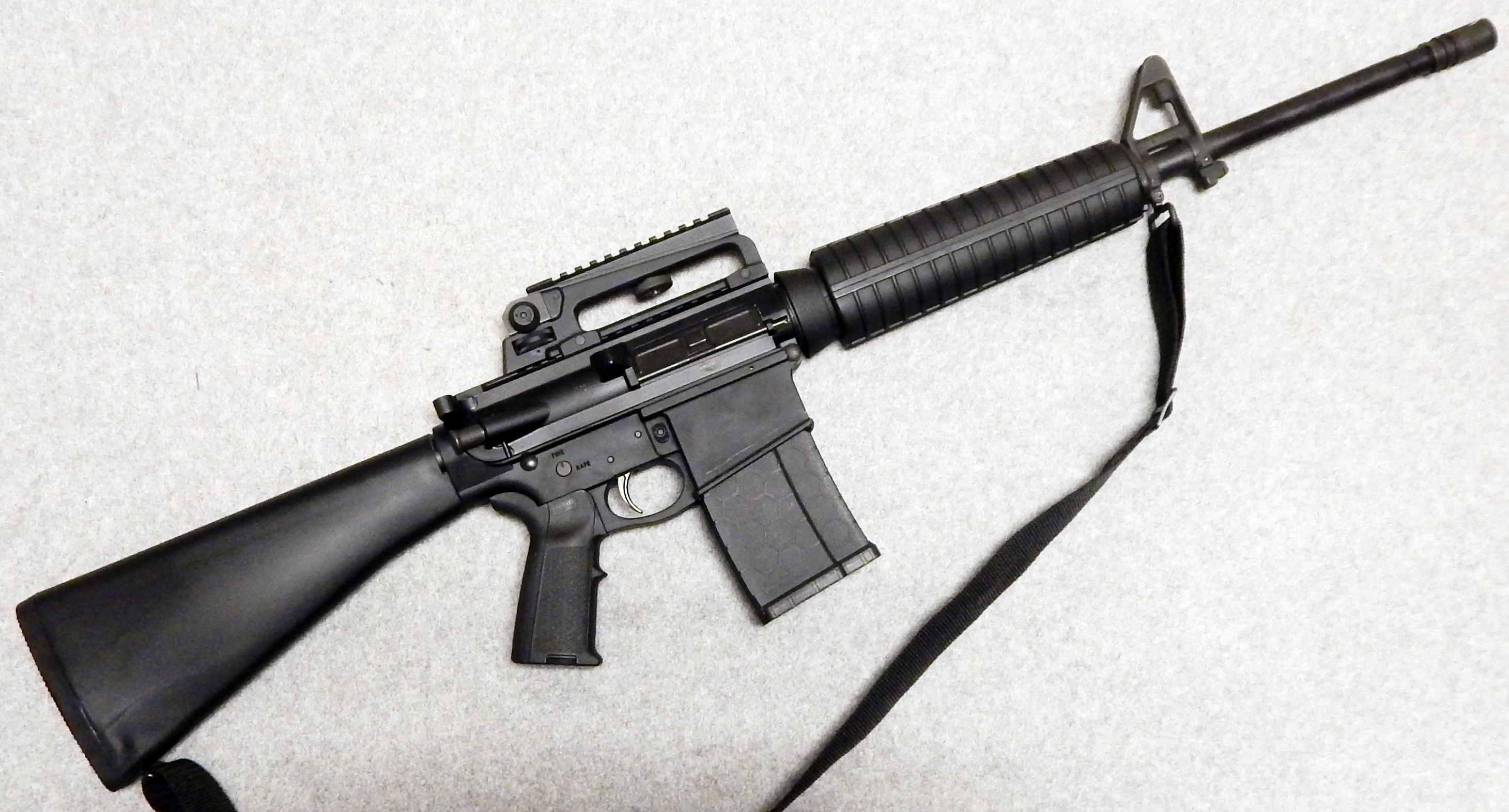 Palmetto State Armory ~ PA-10 ~ .308 Winchester.