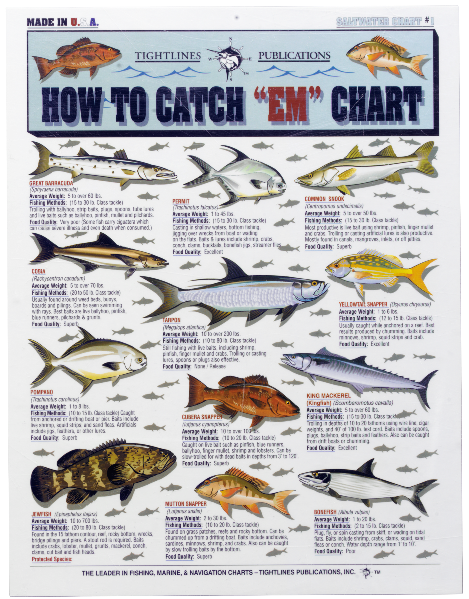 Image of Waterproof Charts - How to Catch 'Em - Central &South Coasts