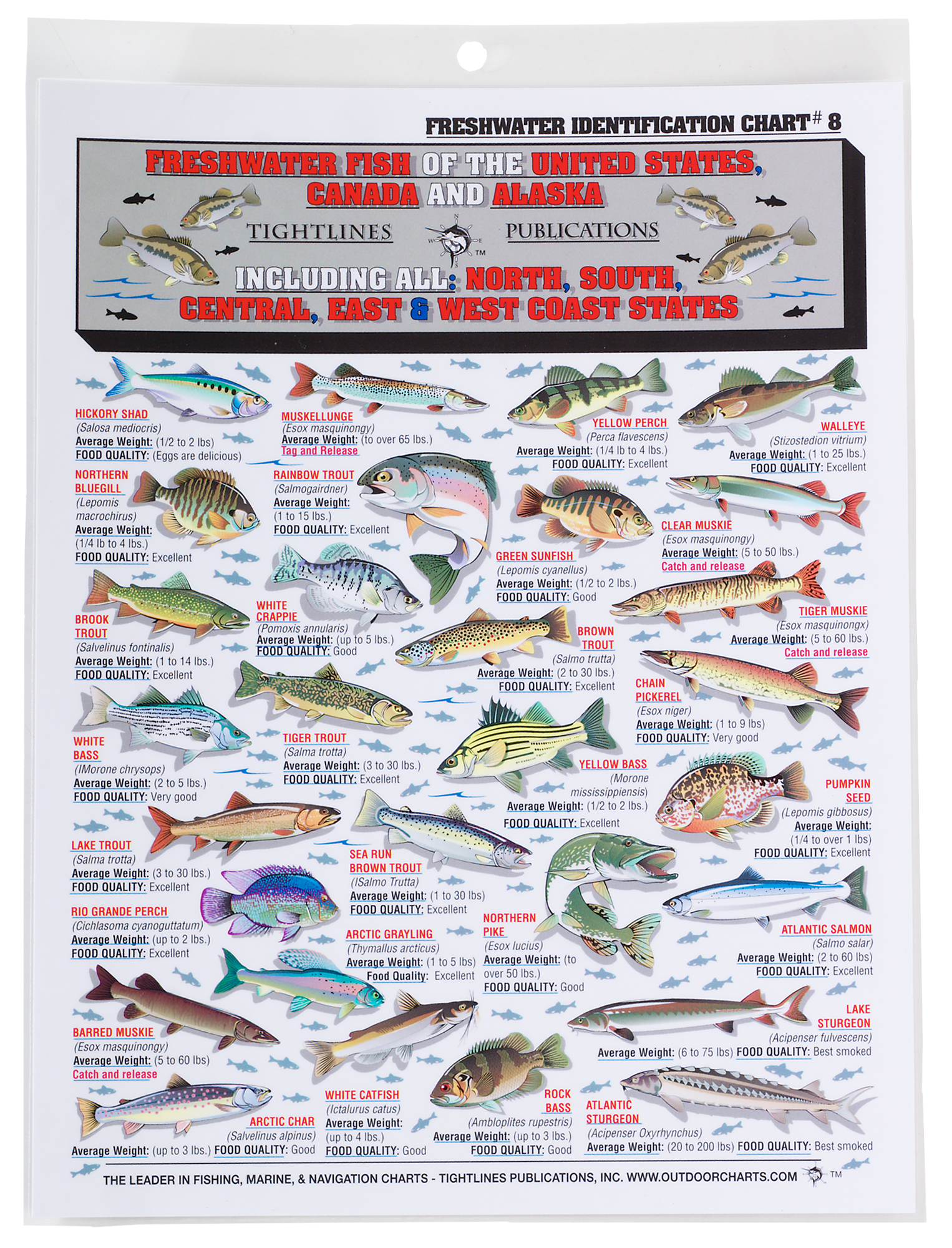 Waterproof Freshwater Fish ID Chart #8