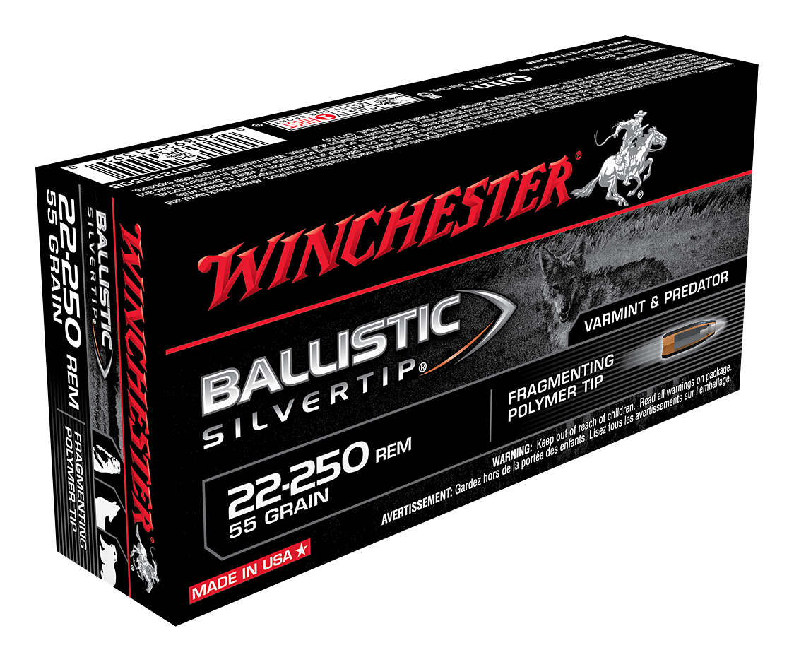 Winchester Ballistic Silvertip .22-250 Remington 55 Grain Centerfire Rifle Ammo - Winchester